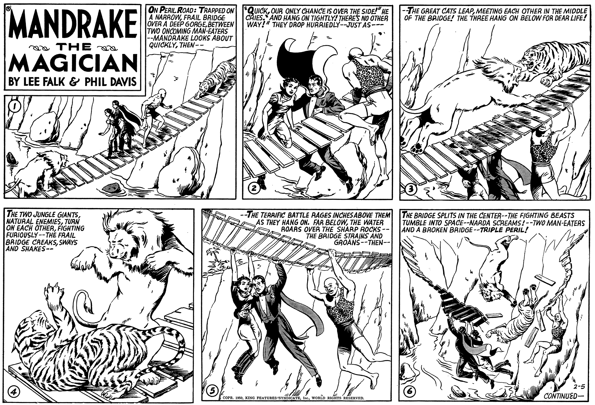 Cartoon OCR: MANDRAKE ON PERIL ROAD : TRAPPED ON "QUICKOUR ONLY CHANCE IS OVER THE SIDE!" HE A NARROWFRAIL BRIDGE OVER A DEEP GORGEBETWEEN TWO ONCOMING MAN-EATERS --MANDRAKE LOOKS ABOUT QUICKLYTHEN-- CRIES. AND HANG ON TIGHTLY! THERE'S NO OTHER WAY!" THEY DROP HURRIEDLY--JUST AS--- |-THE GREAT CATS LEAPMEETING EACH OTHER IN THE MIDDLE OF THE BRIDGE! THE THREE HANG ON BELOW FOR DEAR LIFE! oa THE MAGICIAN BY LEE FALK & PHIL DAVIS THE TWO JUNGLE GIANTSTURN ON EACH OTHERFIGHTING FURIOUSLY--THE FRAIL BRIDGE CREAKSSWAYS AND SHAKES-- --THE TERRIFIC BATTLE AAGES INCHES ABOVE THEM THE BRIDGE SPLITS IN THE CENTER--THE FIGHTING BEASTS AS THEY HANG ON. FAR BELOWTHE WATER ROARS OVER THE SHARP ROCKS -- THE BRIDGE STRAINS AND GROANS--THEN-- TUMBLE INTO SPACE--NARDA SCREAMS!--TWO MAN-EATERS AND A BROKEN BRIDGE--TRIPLE PERIL! 2-5 CONTINUED- COPR. 1950WORLD RIGITS RESERVED. MANDRAKE ON PERIL ROAD : TRAPPED ON "QUICKOUR ONLY CHANCE IS OVER THE SIDE!" HE A NARROWFRAIL BRIDGE OVER A DEEP GORGEBETWEEN TWO ONCOMING MAN-EATERS --MANDRAKE LOOKS ABOUT QUICKLYTHEN-- CRIES. AND HANG ON TIGHTLY! THERE'S NO OTHER WAY!" THEY DROP HURRIEDLY--JUST AS--- |-THE GREAT CATS LEAPMEETING EACH OTHER IN THE MIDDLE OF THE BRIDGE! THE THREE HANG ON BELOW FOR DEAR LIFE! oa THE MAGICIAN BY LEE FALK & PHIL DAVIS THE TWO JUNGLE GIANTSNATURAL ENEMIESTURN ON EACH OTHERFIGHTING FURIOUSLY--THE FRAIL BRIDGE CREAKSSWAYS AND SHAKES-- --THE TERRIFIC BATTLE AAGES INCHES ABOVE THEM THE BRIDGE SPLITS IN THE CENTER--THE FIGHTING BEASTS AS THEY HANG ON. FAR BELOWTHE WATER ROARS OVER THE SHARP ROCKS -- THE BRIDGE STRAINS AND GROANS--THEN-- TUMBLE INTO SPACE--NARDA SCREAMS!--TWO MAN-EATERS AND A BROKEN BRIDGE--TRIPLE PERIL! 2-5 CONTINUED- COPR. 1950KING FEATURESYNDICATEWORLD RIGITS RESERVED.