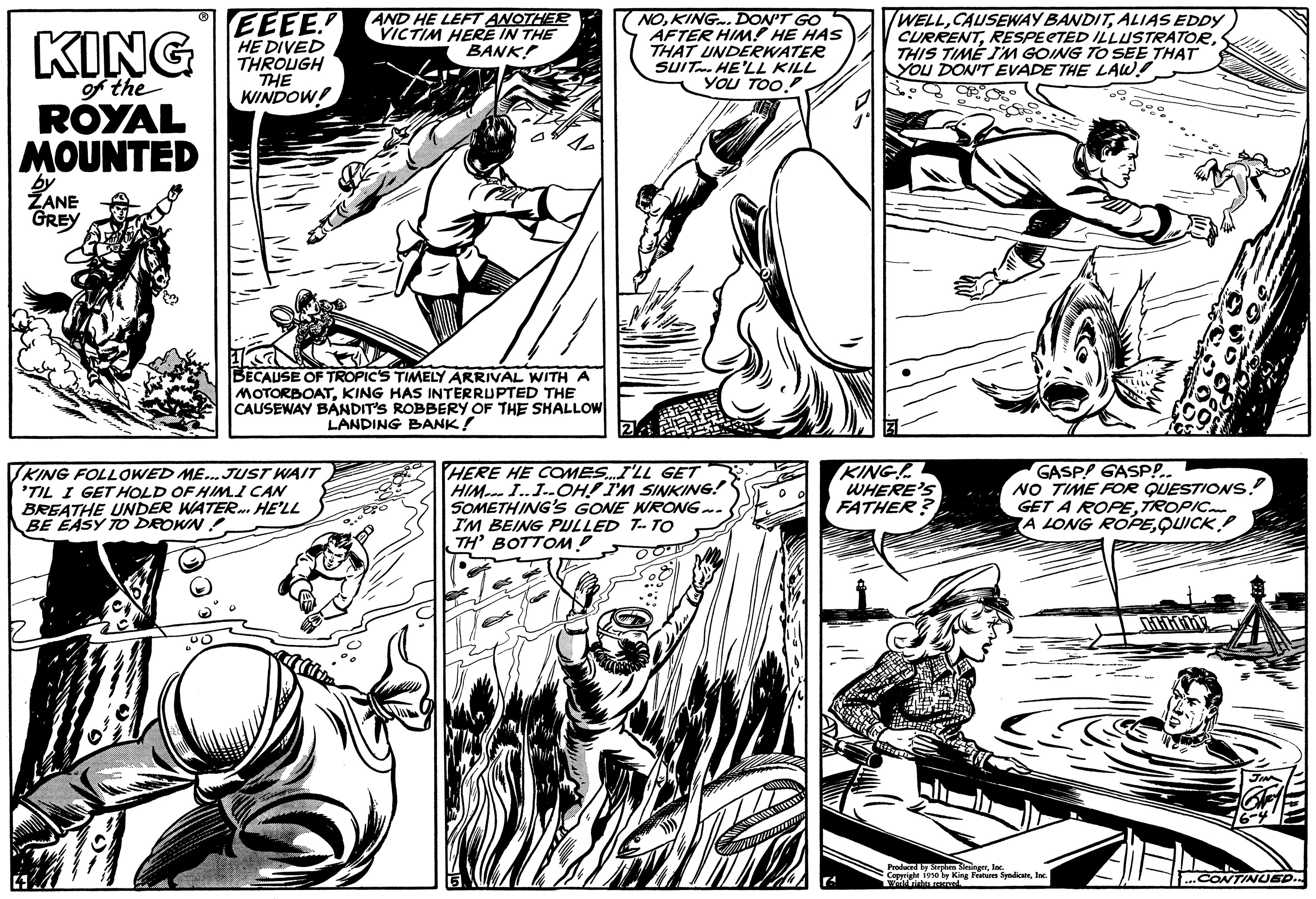 Mammal OCR: KING of the ROYAL MOUNTED by ZANE GREY EEEE HE DIVED THROUGH THE WINDOW AND HE LEFT ANOTHER VICTIM HERE IN THE BANK! BECAUSE OF TROPIC'S TIMELY ARRIVAL WITH A MOTORBOATKING HAS INTERRUPTED THE CAUSEWAY BANDIT'S ROBBERY OF THE SHALLOW LANDING BANK! KING FOLLOWED ME... JUST WAIT 'TIL I GET HOLD OF HIMI CAN BREATHE UNDER WATER... HE'LL BE EASY TO DROWN! NOKING. DON'T GO AFTER HIM! HE HAS THAT UNDERWATER SUIT HE'LL KILL YOU TOO!" 24 HERE HE COMES...I'LL GET HIMI..I-OH! I'M SINKING! SOMETHING'S GONE WRONG... I'M BEING PULLED T-TO TH' BOTTOM? WELLALIAS EDDY CURRENTTHIS TIME I'M GOING TO SEE THAT YOU DON'T EVADE THE LAW! OR C S KING! WHERE'S FATHER? GASP GASP!.. NO TIME FOR QUESTIONS! GET A ROPETROPIC A LONG ROPEQUICK Produced by Stephen SeringerInc. Copyright 1950 by King Features SyndicateInc. World wrinkta apsed ...CONTINUED... KING of the ROYAL MOUNTED by ZANE GREY EEEE HE DIVED THROUGH THE WINDOW AND HE LEFT ANOTHER VICTIM HERE IN THE BANK ! BECAUSE OF TROPIC'S TIMELY ARRIVAL WITH A MOTORBOATKING HAS INTERRUPTED THE CAUSEWAY BANDIT'S ROBBERY OF THE SHALLOW LANDING BANK ! KING FOLLOWED ME ... JUST WAIT ' TIL I GET HOLD OF HIMI CAN BREATHE UNDER WATER ... HE'LL BE EASY TO DROWN ! NOKING . DON'T GO AFTER HIM ! HE HAS THAT UNDERWATER SUIT HE'LL KILL YOU TOO ! " 24 HERE HE COMES ... I'LL GET HIMI..I - OH ! I'M SINKING ! SOMETHING'S GONE WRONG ... I'M BEING PULLED T - TO TH ' BOTTOM ? WELLCAUSEWAY BANDITALIAS EDDY CURRENTRESPECTED ILLUSTRATORTHIS TIME I'M GOING TO SEE THAT YOU DON'T EVADE THE LAW ! OR C S KING ! WHERE'S FATHER ? GASP GASP ! .. NO TIME FOR QUESTIONS ! GET A ROPETROPIC A LONG ROPEQUICK Produced by Stephen SeringerInc. Copyright 1950 by King Features SyndicateInc. World wrinkta apsed ... CONTINUED ...