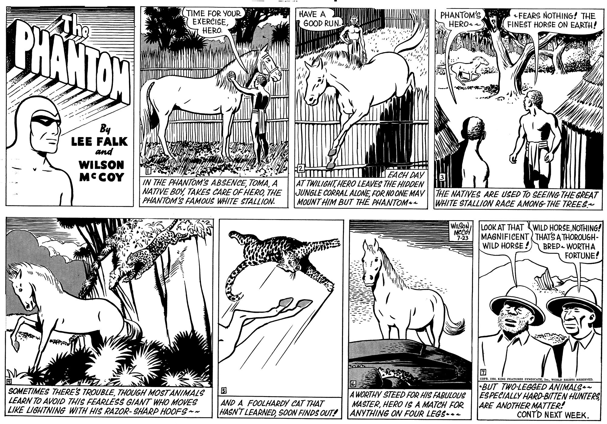 Font OCR: (TIME FOR YOUR EXERCISEM HERO HAVE A R GOOD RUN. PHANTOM'S HERO FEARS NOTHING! THE FINEST HORSE ON EARTH! CHANTON By LEE FALK and WILSON MCCOY IN THE PHANTOM'S ABSENCEA NATIVE BOYTHE PHANTOM'S FAMOUS WHITE STALLION. Kum T FACH DAY AT TWILIGHTHERO LEAVES THE HIDDEN JUNGLE CORRAL ALONEFOR NO ONE MAY THE NATIVES ARE USED TO SEEING THE GREAT MOUNT HIM BUT TH? PHANTOMoe WHITE STALLION RACE AMONG THE TREES WILGON LOOK AT THAT WILD HORSENOTHING! MAGNIFICENT THAT'S A THOROUGH- BRED- WORTHA FORTUNE! WILD HORSE ! COPR IMA KING FEATURES STNECATEWORLD RS RSERVEE SOMETIMES THERE'S TROUBLETHOUGH MOSTANIMALS LEARN TO AVOID THIS FEARLESS GIANT WHO MOVES LIKE LIGHTNING WITH HIS RAZOR- SHARP HOOFS-~ A WORTHY STEED FOR HIS FABULOUS MASTERHERO IS A MATCH FOR HASN'T LEARNEDSOON FINDS OUT! ANYTHING ON FOUR LEGS..- -BUT TWO-LEGGED ANIMALS ESPECIALLY HARD-BITTEN HUNTERS ARE ANOTHER MATTER! CONTD NEXT WEEK. AND A FOOLHARDY CAT THAT (TIME FOR YOUR EXERCISEM HERO HAVE A R GOOD RUN. PHANTOM'S HERO FEARS NOTHING! THE FINEST HORSE ON EARTH! CHANTON By LEE FALK and WILSON MCCOY IN THE PHANTOM'S ABSENCEA NATIVE BOYTAKES CARE OF HEROTHE PHANTOM'S FAMOUS WHITE STALLION. Kum T FACH DAY AT TWILIGHTHERO LEAVES THE HIDDEN JUNGLE CORRAL ALONEFOR NO ONE MAY THE NATIVES ARE USED TO SEEING THE GREAT MOUNT HIM BUT TH? PHANTOMoe WHITE STALLION RACE AMONG THE TREES WILGON LOOK AT THAT WILD HORSENOTHING! MAGNIFICENT THAT'S A THOROUGH- BRED- WORTHA FORTUNE! WILD HORSE ! COPR IMA KING FEATURES STNECATEWORLD RS RSERVEE SOMETIMES THERE'S TROUBLETHOUGH MOSTANIMALS LEARN TO AVOID THIS FEARLESS GIANT WHO MOVES LIKE LIGHTNING WITH HIS RAZOR- SHARP HOOFS-~ A WORTHY STEED FOR HIS FABULOUS MASTERHERO IS A MATCH FOR HASN'T LEARNEDSOON FINDS OUT! ANYTHING ON FOUR LEGS..- -BUT TWO-LEGGED ANIMALS ESPECIALLY HARD-BITTEN HUNTERS ARE ANOTHER MATTER! CONTD NEXT WEEK. AND A FOOLHARDY CAT THAT