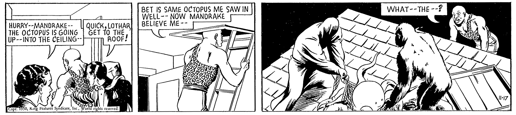 Elbow OCR: WHAT--THE --? BET IS SAME OC TOPUS ME SAW IN WELL--NOW MANDRAKE BELIEVE ME -- HURRY--MANDRAKE-- THE OCTOPUS IS GOING UP--INTO THE CEILING- QUICKLOTHAR GET TO THEROOF! l-17 Copr 30World rights reserved. WHAT--THE --? BET IS SAME OC TOPUS ME SAW IN WELL--NOW MANDRAKE BELIEVE ME -- HURRY--MANDRAKE-- THE OCTOPUS IS GOING UP--INTO THE CEILING- QUICKLOTHAR GET TO THEROOF! l-17 Copr 30King Features SyndicateWorld rights reserved.