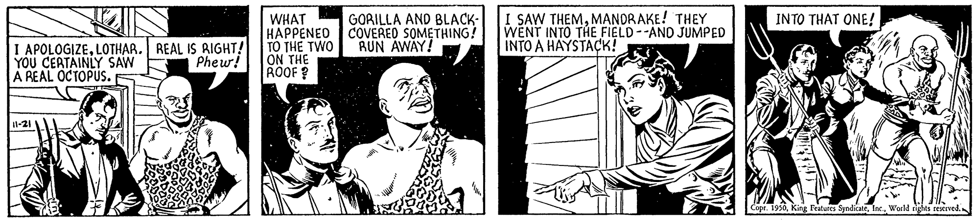 Snapshot OCR: I SAW THEMMANDRAKE! THEY WENT INTO THE FIELD --AND JUMPED INTO A HAYSTAÇK! INTO THAT ONE! I APOLOGIZELOTHAR. REAL IS RIGHT! YOU CEATAINLY SAW A REAL OCTOPUS. WHAT ????ENEO TO THE TWO ON THE ROOF? GORILLA AND BLACK- COVEREO SOMETHING! RUN AWAY! Phew! 11-21 Copr. 1950World rights reserved. I SAW THEMMANDRAKE! THEY WENT INTO THE FIELD --AND JUMPED INTO A HAYSTAÇK! INTO THAT ONE! I APOLOGIZELOTHAR. REAL IS RIGHT! YOU CEATAINLY SAW A REAL OCTOPUS. WHAT ????ENEO TO THE TWO ON THE ROOF? GORILLA AND BLACK- COVEREO SOMETHING! RUN AWAY! Phew! 11-21 Copr. 1950King Features SyndicateWorld rights reserved.