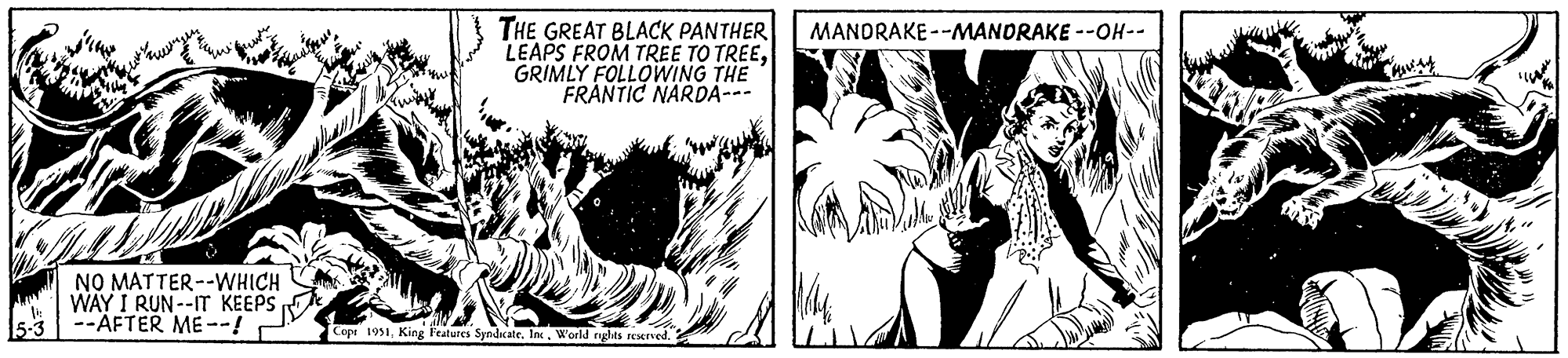 Line OCR: 5-3 Fu NO MATTER --WHICH WAY I RUN--IT KEEPS --AFTER ME--! THE GREAT BLACK PANTHER LEAPS FROM TREE TO TREEGRIMLY FOLLOWING THE FRANTIC NARDA--- Copt 1951World rights reserved. MANDRAKE--MANDRAKE --OH-- 5-3 Fu NO MATTER --WHICH WAY I RUN -- IT KEEPS --AFTER ME-- ! THE GREAT BLACK PANTHER LEAPS FROM TREE TO TREEGRIMLY FOLLOWING THE FRANTIC NARDA --- Copt 1951King Features SyndicateWorld rights reserved . MANDRAKE -- MANDRAKE --OH-