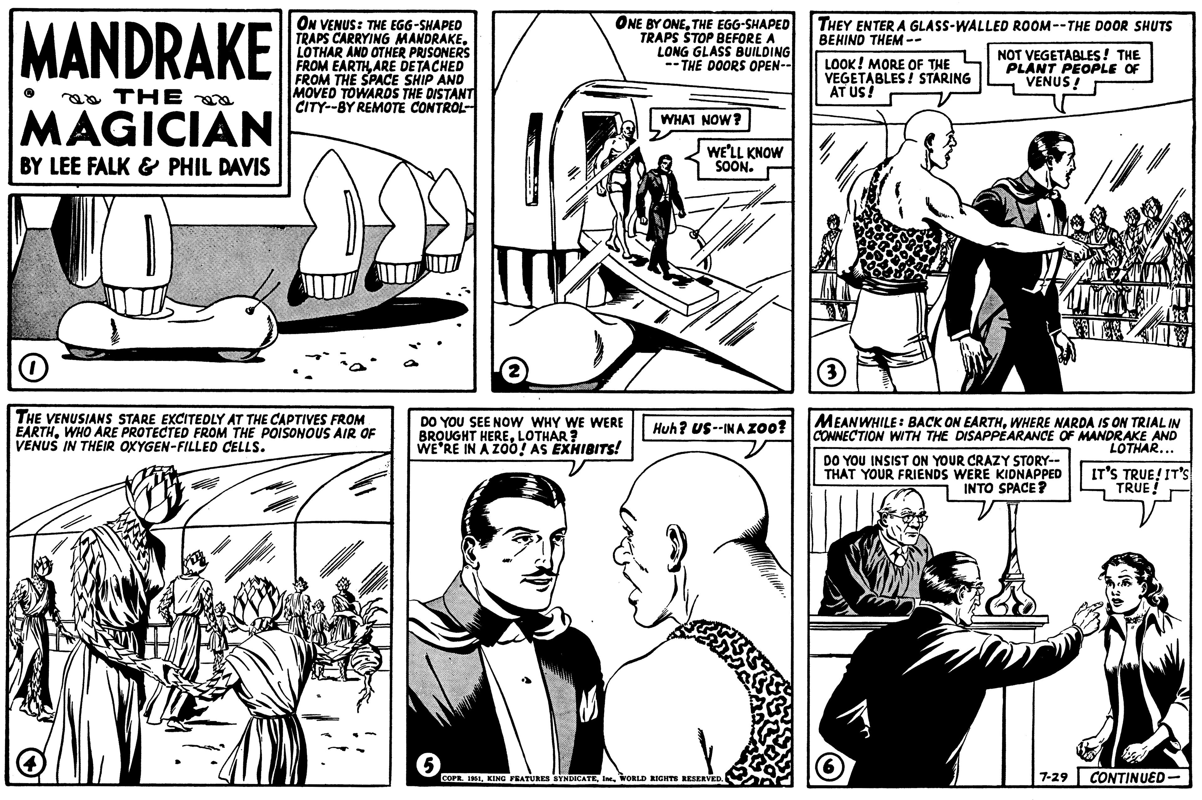 Publication OCR: MANDRAKE N THE ma MAGICIAN BY LEE FALK & PHIL DAVIS ON VENUS: THE EGG-SHAPED TRAPS CARRYING MANDRAKE. LOTHAR AND OTHER PRISONERS FROM EARTHARE DETACHED FROM THE SPACE SHIP AND MOVED TOWARDS THE DISTANT CITY--BY REMOTE CONTROL- O THE VENUSIANS STARE EXCITEDLY AT THE CAPTIVES FROM EARTHWHO ARE PROTECTED FROM THE POISONOUS AIR OF VENUS IN THEIR OXYGEN-FILLED CELLS. 4 (2) ONE BY ONETHE EGG-SHAPED TRAPS STOP BEFORE A LONG GLASS BUILDING THE DOORS OPEN-- DO YOU SEE NOW WHY WE WERE BROUGHT HERELOTHAR ? WE'RE IN A ZOO! AS EXHIBITS! WHAT NOW? WE'LL KNOW SOON. Huh? US--INAZOO? 5 COPR. 1951WORLD RIGHTS RESERVED. THEY ENTER A GLASS-WALLED ROOM--THE DOOR SHUTS BEHIND THEM -- LOOK! MORE OF THE VEGETABLES! STARING AT US! NOT VEGETABLES! THE PLANT PEOPLE OF VENUS! (3) MEANWHILE: BACK ON EARTHWHERE NARDA IS ON TRIAL IN CONNECTION WITH THE DISAPPEARANCE OF MANDRAKE AND LOTHAR... IT'S TRUE! IT'S TRUE! DO YOU INSIST ON YOUR CRAZY STORY-- THAT YOUR FRIENDS WERE KIDNAPPED INTO SPACE? (6) 7-29 CONTINUED MANDRAKE N THE ma MAGICIAN BY LEE FALK & PHIL DAVIS ON VENUS : THE EGG - SHAPED TRAPS CARRYING MANDRAKE . LOTHAR AND OTHER PRISONERS FROM EARTHARE DETACHED FROM THE SPACE SHIP AND MOVED TOWARDS THE DISTANT CITY -- BY REMOTE CONTROL O THE VENUSIANS STARE EXCITEDLY AT THE CAPTIVES FROM EARTHWHO ARE PROTECTED FROM THE POISONOUS AIR OF VENUS IN THEIR OXYGEN - FILLED CELLS . 4 ( 2 ) ONE BY ONETHE EGG - SHAPED TRAPS STOP BEFORE A LONG GLASS BUILDING THE DOORS OPEN- DO YOU SEE NOW WHY WE WERE BROUGHT HERELOTHAR ? WE'RE IN A ZOO ! AS EXHIBITS ! WHAT NOW ? WE'LL KNOW SOON . Huh ? US -- INAZOO ? 5 COPR . 1951KING FEATURES SYNDICATEIne .WORLD RIGHTS RESERVED . THEY ENTER A GLASS - WALLED ROOM -- THE DOOR SHUTS BEHIND THEM -- LOOK ! MORE OF THE VEGETABLES ! STARING AT US ! NOT VEGETABLES ! THE PLANT PEOPLE OF VENUS ! ( 3 ) MEANWHILE : BACK ON EARTHWHERE NARDA IS ON TRIAL IN CONNECTION WITH THE DISAPPEARANCE OF MANDRAKE AND LOTHAR ... IT'S TRUE ! IT'S TRUE ! DO YOU INSIST ON YOUR CRAZY STORY- THAT YOUR FRIENDS WERE KIDNAPPED INTO SPACE ? ( 6 ) 7-29 CONTINUED