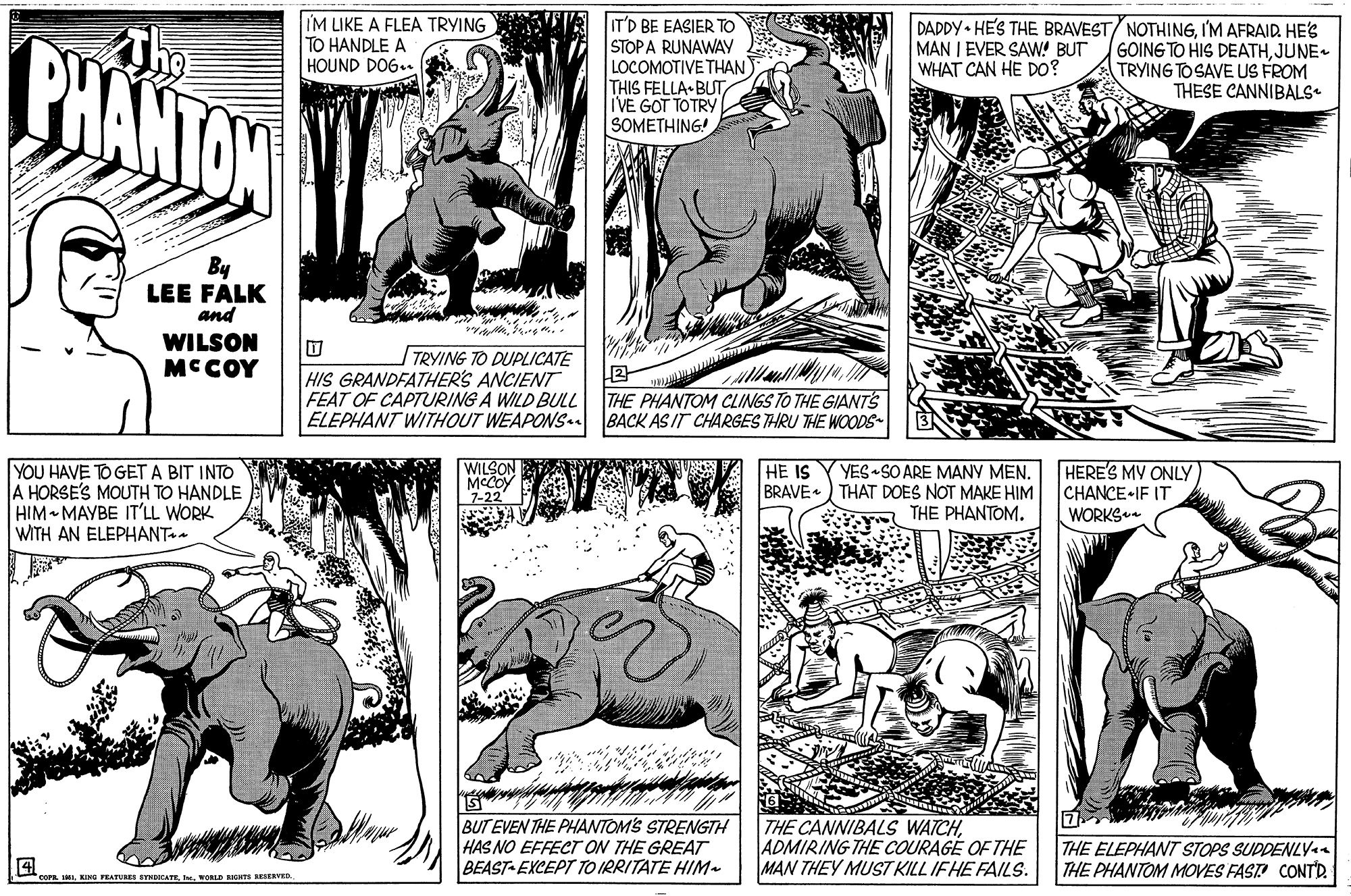 Jaw OCR: IM LIKE A FLEA TRYING TO HANDLE A HOUND DOG. PHANTOW AU ITD BE EASIER TO STOPA RUNAWAY LOCOMOTIVE THAN THIS FELLA-BUT IVE GOT TOTRY SOMETHING! DADDY • HES THE BRAVEST/ NOTHINGI'M AFRAID. HES GOING TO HIS DEATHJUNE TRYING TOSAVE US FROM THESE CANNIBALS MAN I EVER SAW! BUT WHAT CAN HE D0? By LEE FALK and WILSON MCCOY TRYING TO DUPLICATE HIS GRANDFATHER'S ANCIENT FEAT OF CAPTURING A WILD BULL ELEPHANT WITHOUT WEAPONS BACK AS IT CHARGES THRU THE WOODS- THE PHANTOM CLINGS TO THE GIANTS YOU HAVE TO GET A BIT INTO A HORSE'S MOUTH TO HANDLE HIM MAYBE IT'LL WORK WITH AN ELEPHANT WILSON MCCOY YES SO ARE MANY MEN. BRAVE.) THAT DOES NOT MAKE HIM THE PHANTOM. HERE'S MY ONLY CHANCE IF IT WORKS HE IS BUT EVEN THE PHANTOMS STRENGTH HAS NO EFFECT ON THE GREAT BEAST-EXCEPT TO IRRITATE HIM- THE CANNIBALS WATCHADMIRING THE COURAGE OF THE MAN THEY MUST KILL IFHE FAILS. THE ELEPHANT STOPS SUDDENLYaa THE PHANTOM MOVES FAST! CONTD. COFR.I. VORLD RnGTS RESERVED IM LIKE A FLEA TRYING TO HANDLE A HOUND DOG. PHANTOW AU ITD BE EASIER TO STOPA RUNAWAY LOCOMOTIVE THAN THIS FELLA-BUT IVE GOT TOTRY SOMETHING! DADDY • HES THE BRAVEST/ NOTHINGI'M AFRAID. HES GOING TO HIS DEATHJUNE TRYING TOSAVE US FROM THESE CANNIBALS MAN I EVER SAW! BUT WHAT CAN HE D0? By LEE FALK and WILSON MCCOY TRYING TO DUPLICATE HIS GRANDFATHER'S ANCIENT FEAT OF CAPTURING A WILD BULL ELEPHANT WITHOUT WEAPONS BACK AS IT CHARGES THRU THE WOODS- THE PHANTOM CLINGS TO THE GIANTS YOU HAVE TO GET A BIT INTO A HORSE'S MOUTH TO HANDLE HIM MAYBE IT'LL WORK WITH AN ELEPHANT WILSON MCCOY YES SO ARE MANY MEN. BRAVE.) THAT DOES NOT MAKE HIM THE PHANTOM. HERE'S MY ONLY CHANCE IF IT WORKS HE IS BUT EVEN THE PHANTOMS STRENGTH HAS NO EFFECT ON THE GREAT BEAST-EXCEPT TO IRRITATE HIM- THE CANNIBALS WATCHADMIRING THE COURAGE OF THE MAN THEY MUST KILL IFHE FAILS. THE ELEPHANT STOPS SUDDENLYaa THE PHANTOM MOVES FAST! CONTD. COFR.KING PEATURES EYNICATEI. VORLD RnGTS RESERVED