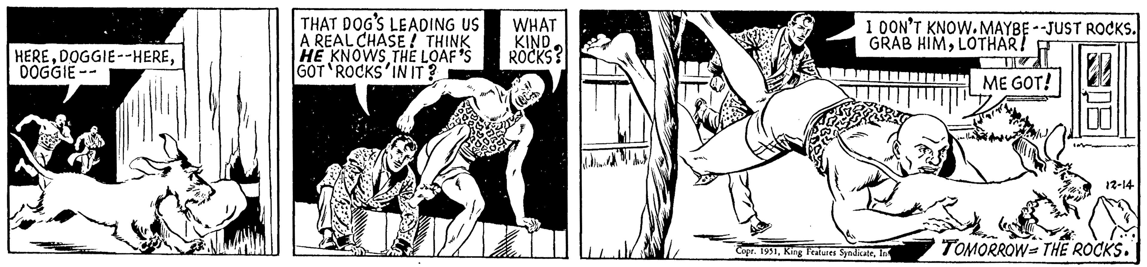 Illustration OCR: HEREDOGGIE -- THAT DOG'S LEADING US A REAL CHASE! THINK HE KNOWS THE LOAF'S GOT ROCKS IN IT? WHAT KIND ROCKS? I DON'T KNOW. MAYBE --JUST ROCKS. GRAB HIMLOTHAR! ME GOT! Copr. 1951In 12-14 TOMORROW THE ROCKS. HEREDOGGIE -- HEREDOGGIE -- THAT DOG'S LEADING US A REAL CHASE ! THINK HE KNOWS THE LOAF'S GOT ROCKS IN IT ? WHAT KIND ROCKS ? I DON'T KNOW . MAYBE --JUST ROCKS . GRAB HIMLOTHAR ! ME GOT ! Copr . 1951King Features SyndicateIn 12-14 TOMORROW THE ROCKS .