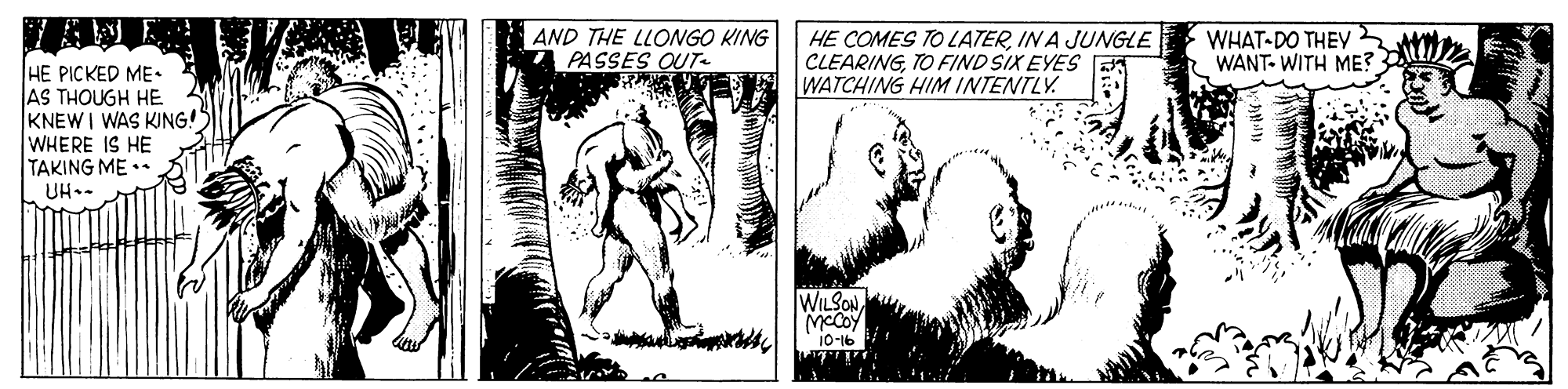Drawing OCR: AND THE LLONGO KING PASSES OUT VE WATCHING HIM INTENTLY. HE COMES TO LATERIN A JUNGLE CLEARINGTO FIND SIX EYES WHAT-DO THEY2 WANT- WITH ME? HE PICKED ME. AS THOUGH HE KNEWI WAS KING! WHERE IS HE TAKING ME •. UH.- WILSON McCoy 10-16 AND THE LLONGO KING PASSES OUT VE WATCHING HIM INTENTLY. HE COMES TO LATERIN A JUNGLE CLEARINGTO FIND SIX EYES WHAT-DO THEY2 WANT- WITH ME? HE PICKED ME. AS THOUGH HE KNEWI WAS KING! WHERE IS HE TAKING ME •. UH.- WILSON McCoy 10-16