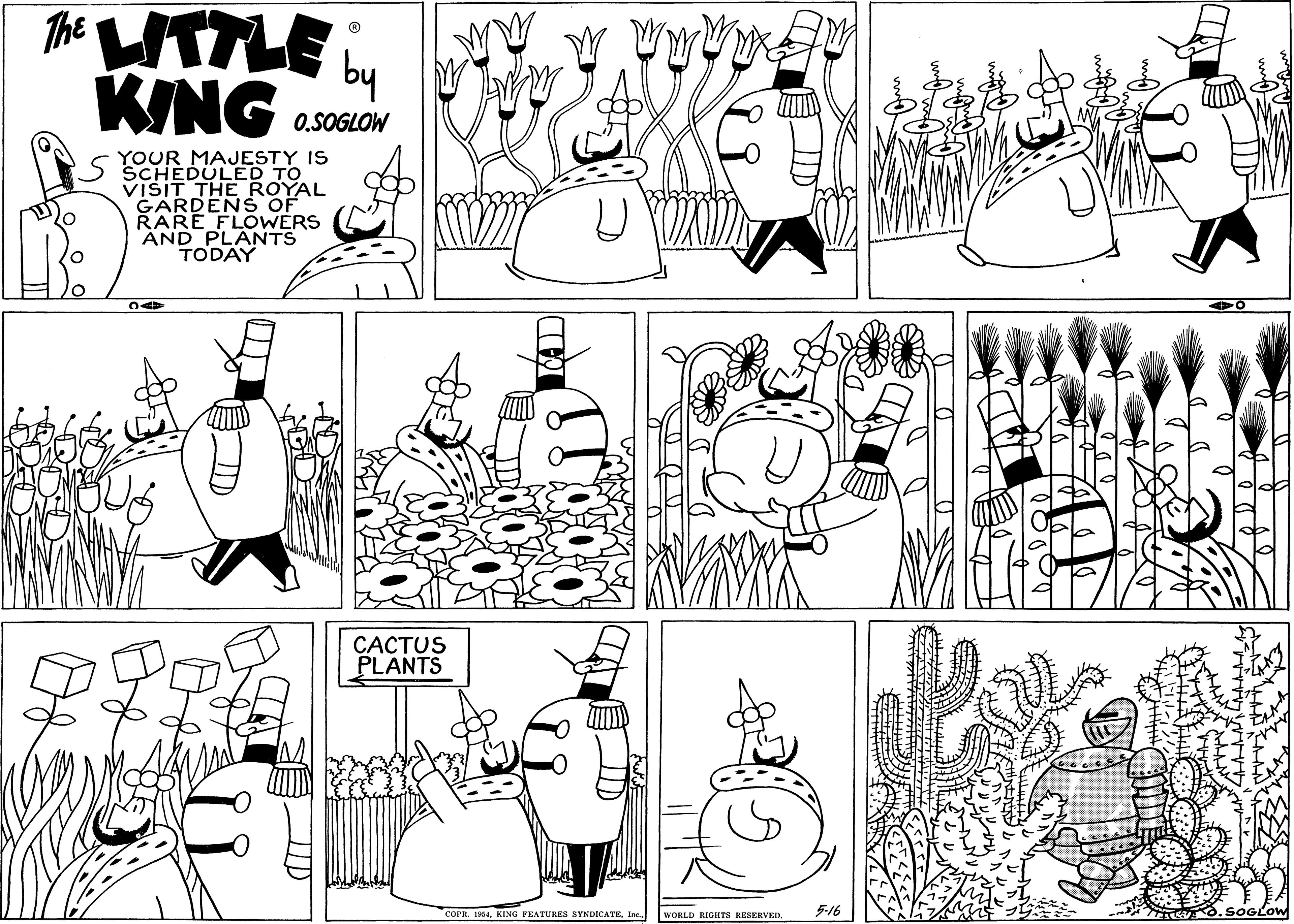 Black OCR: The ITTLE by KING 0.SOGLOW YOUR MAJESTY IS SCHEDULED TO VISIT THE ROYAL RARE FLOWERS AND PLANTS TODAY CACTUS PLANTS COPR. 1354Irc. WORLD RIGHTS RESERVED. 5-16 O.SOGLOW The ITTLE by KING 0.SOGLOW YOUR MAJESTY IS SCHEDULED TO VISIT THE ROYAL RARE FLOWERS AND PLANTS TODAY CACTUS PLANTS COPR. 1354KING FEATURES SYNDICATEIrc. WORLD RIGHTS RESERVED. 5-16 O.SOGLOW
