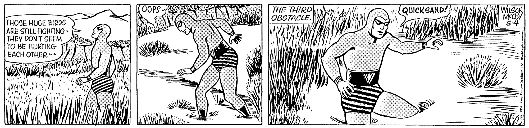 Drawing OCR: WILSON THE THIRD OBSTACLE. QUICKSAND! THOSE HUGE BIRDS ARE STILL FIGHTING• THEY PON'T SEEM TO BE HURTING EACH OTHER 5-4 WILSON THE THIRD OBSTACLE. QUICKSAND! THOSE HUGE BIRDS ARE STILL FIGHTING• THEY PON'T SEEM TO BE HURTING EACH OTHER 5-4