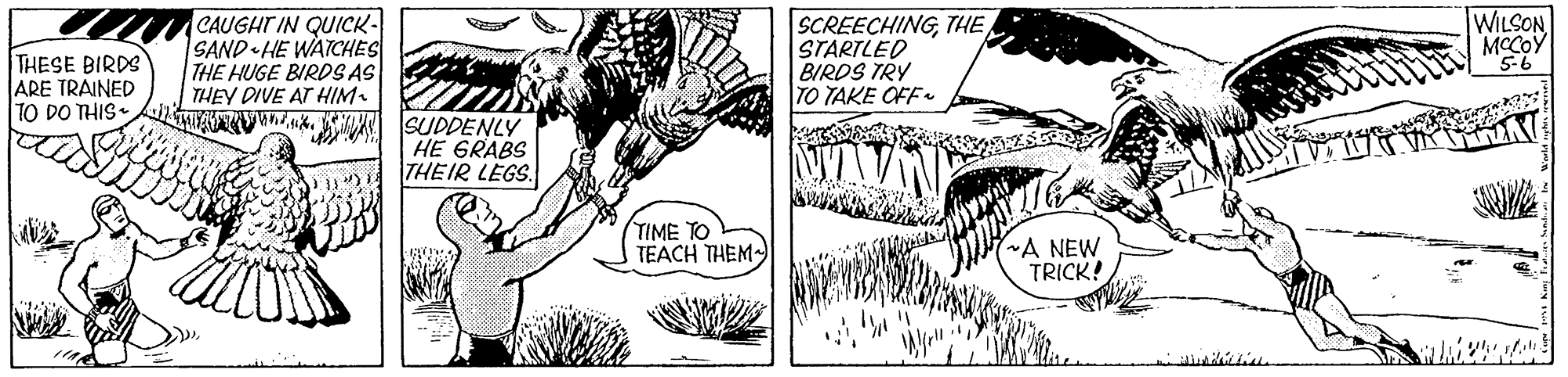 Gesture OCR: THESE BIRDS ARE TRAINED TO DO THIS • CAUGHT IN QUICK- SAND HE WATCHES THE HUGE BIRDSAS THEY DIVE AT HIM. SCREECHINGTHE STARTLED BIRDS TRY TO TAKE OFF. WILSON MCCOY 5-6 SUDDENLY HE GRABS THEIR LEGS. TIME TO TEACH THEM ~A NEW TRICK! THESE BIRDS ARE TRAINED TO DO THIS • CAUGHT IN QUICK- SAND HE WATCHES THE HUGE BIRDSAS THEY DIVE AT HIM. SCREECHINGTHE STARTLED BIRDS TRY TO TAKE OFF. WILSON MCCOY 5-6 SUDDENLY HE GRABS THEIR LEGS. TIME TO TEACH THEM ~A NEW TRICK!
