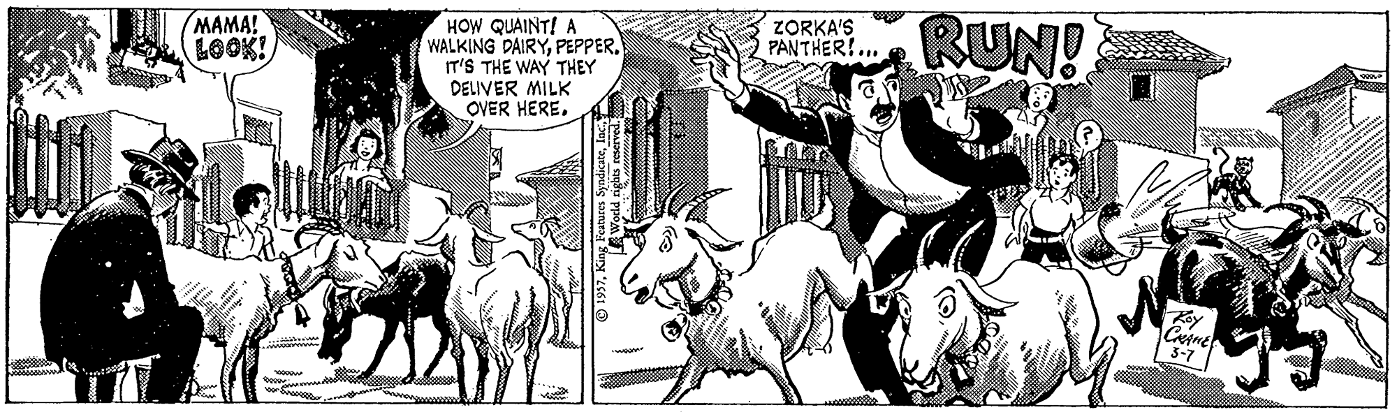 Font OCR: HOW QUAINT! A WALKING DAIRYPEPPER. IT'S THE WAY THEY DELIVER MILK OVER HERE. RUN! MAMA! LOOK! ZORKA'S PANTHER!. Koy 3-7 HOW QUAINT! A WALKING DAIRYPEPPER. IT'S THE WAY THEY DELIVER MILK OVER HERE. RUN! MAMA! LOOK! ZORKA'S PANTHER!. Koy 3-7