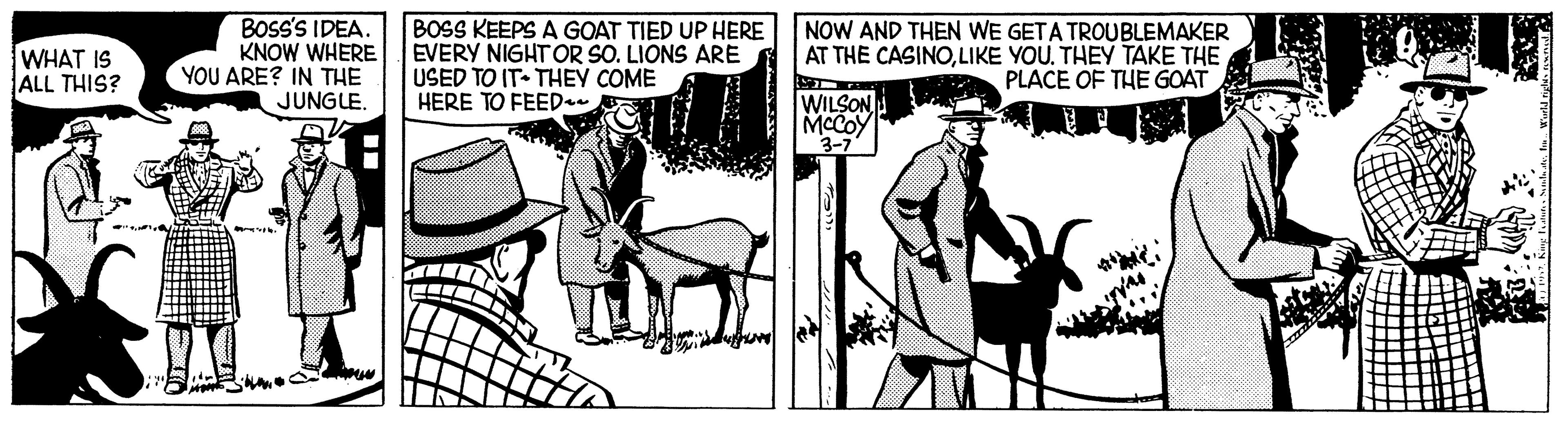 Working animal OCR: BOSS'S IDEA. KNOW WHERE YOU ARE? IN THE JUNGLE. BOSS KEEPS A GOAT TIED UP HERE EVERY NIGHT OR SO. LIONS ARE USED TO IT- THEY COME HERE TO FEED NOW AND THEN WE GETA TROUBLEMAKER AT THE CASINOLIKE YOU. THEY TAKE THE PLACE OF THE GOAT WHAT IS ALL THIS? WILSON MCCOY 3-7 BOSS'S IDEA. KNOW WHERE YOU ARE? IN THE JUNGLE. BOSS KEEPS A GOAT TIED UP HERE EVERY NIGHT OR SO. LIONS ARE USED TO IT- THEY COME HERE TO FEED NOW AND THEN WE GETA TROUBLEMAKER AT THE CASINOLIKE YOU. THEY TAKE THE PLACE OF THE GOAT WHAT IS ALL THIS? WILSON MCCOY 3-7