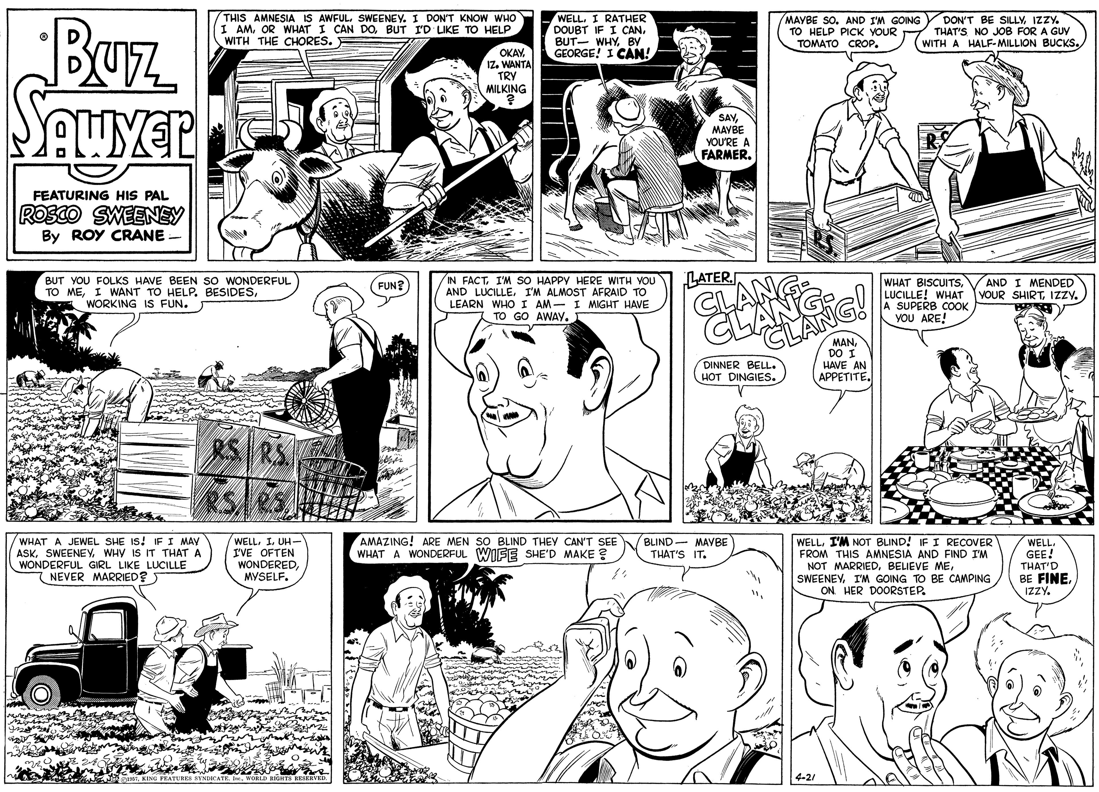 Organism OCR: BUz THIS AMNESIA IS AWFUL. SWEENEY. I DON'T KNOW WHO I AMBUT I'D LIKE TO HELP WITH THE CHORES. WELL. I RATHER DOUBT IF I CAN. BUT- WHYBY GEORGE! I CAN! MAYBE SO. AND I'M GOING Y DON'T BE SILLYIZZY. TO HELP PICK YOUR TOMATO CROP. THAT'S NO JOB FOR A GUY WITH A HALF-MILLION BUCKS. OKAY. IZ. WANTA TRY MILKING SAYMAYBE YOU'RE A FARMER. FEATURING HIS PAL RoSco SWEENEY By ROY CRANE LATER. BUT YOU FOLKS HAVE BEEN so WONDERFUL TO MEWORKING IS FUN. IN FACTI'M SO HAPPY HERE WITH YOU AND LUCILLEI'M ALMOST AFRAID TO LEARN WHO I AM- I MIGHT HAVE FUN? WHAT BISCUITSIZZY. SUPERB COOK ??? ARE! AND I MENDED TO GO AWAY. MANDO I DINNER BELL. HOT DINGIES. HAVE AN ????????. WHAT A JEWEL SHE IS! IFI MAY ASKWHY IS IT THAT A WONDERFUL GIRL LIKE LUCILLE NEVER MARRIED? WELLI. UH- I'VE OFTEN WONDERED. MYSELF. AMAZING! ARE MEN SO BLIND THEY CAN'T SEE WHAT A WONDERFUL WIFE SHE'D MAKE ? BLIND- MAYBE THAT'S IT. WELLI'M NOT BLIND! IF I RECOVER FROM THIS AMNESIA AND FIND I'M NOT MARRIEDI'M GOING TO BE CAMPING ON. HER DOORSTEP. WELL. GEE! THAT'D BE FINE. IZZY. 4-21 BUz THIS AMNESIA IS AWFUL. SWEENEY. I DON'T KNOW WHO I AMOR WHAT I CAN DOBUT I'D LIKE TO HELP WITH THE CHORES. WELL. I RATHER DOUBT IF I CAN. BUT- WHYBY GEORGE! I CAN! MAYBE SO. AND I'M GOING Y DON'T BE SILLYIZZY. TO HELP PICK YOUR TOMATO CROP. THAT'S NO JOB FOR A GUY WITH A HALF-MILLION BUCKS. OKAY. IZ. WANTA TRY MILKING SAYMAYBE YOU'RE A FARMER. FEATURING HIS PAL RoSco SWEENEY By ROY CRANE LATER. BUT YOU FOLKS HAVE BEEN so WONDERFUL TO MEI WANT TO HELP. BESIDESWORKING IS FUN. IN FACTI'M SO HAPPY HERE WITH YOU AND LUCILLEI'M ALMOST AFRAID TO LEARN WHO I AM- I MIGHT HAVE FUN? WHAT BISCUITSLUCILLE! WHAT YOUR SHIRTIZZY. SUPERB COOK ??? ARE! AND I MENDED TO GO AWAY. MANDO I DINNER BELL. HOT DINGIES. HAVE AN ????????. WHAT A JEWEL SHE IS! IFI MAY ASKWHY IS IT THAT A WONDERFUL GIRL LIKE LUCILLE NEVER MARRIED? WELLI. UH- I'VE OFTEN WONDERED. MYSELF. AMAZING! ARE MEN SO BLIND THEY CAN'T SEE WHAT A WONDERFUL WIFE SHE'D MAKE ? BLIND- MAYBE THAT'S IT. WELLI'M NOT BLIND! IF I RECOVER FROM THIS AMNESIA AND FIND I'M NOT MARRIEDBELIEVE MEI'M GOING TO BE CAMPING ON. HER DOORSTEP. WELL. GEE! THAT'D BE FINE. IZZY. 4-21
