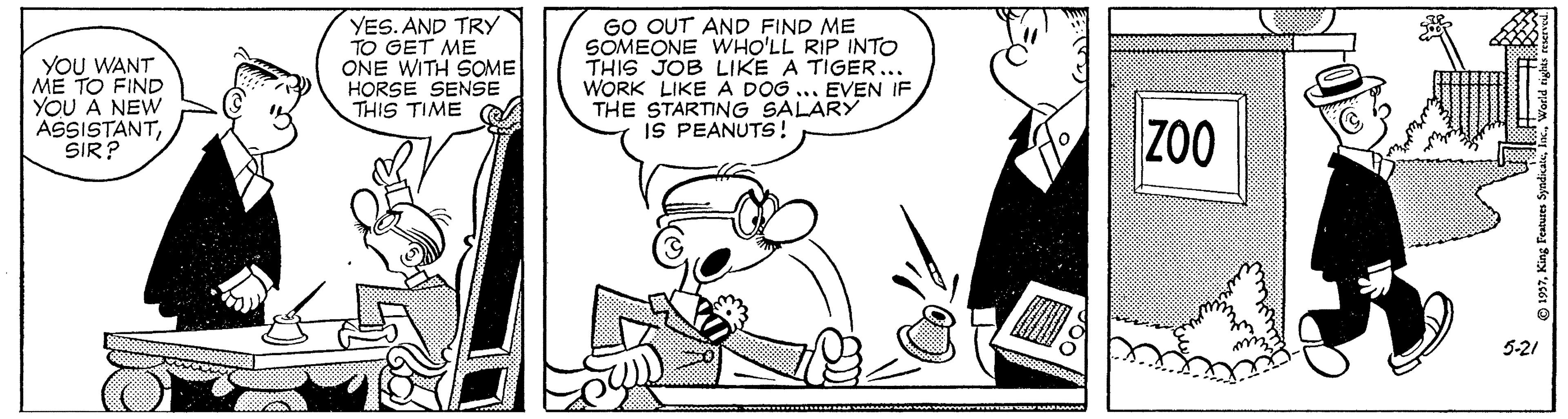 Art OCR: YOU WANT ME TO FIND YOU À NEW ASSISTANTSIR? YES. AND TRY TO GET ME ONE WITH SOME HORSE SENSE THIS TIME GO OUT AND FIND ME SOMEONE WHO'LL RIP INTO THIS JOB LIKE A TIGER... WORK LIKE A DOG ... EVEN IF THE STARTING SALARY IS PEANUTS! Z00 5-21 YOU WANT ME TO FIND YOU À NEW ASSISTANTSIR? YES. AND TRY TO GET ME ONE WITH SOME HORSE SENSE THIS TIME GO OUT AND FIND ME SOMEONE WHO'LL RIP INTO THIS JOB LIKE A TIGER... WORK LIKE A DOG ... EVEN IF THE STARTING SALARY IS PEANUTS! Z00 5-21