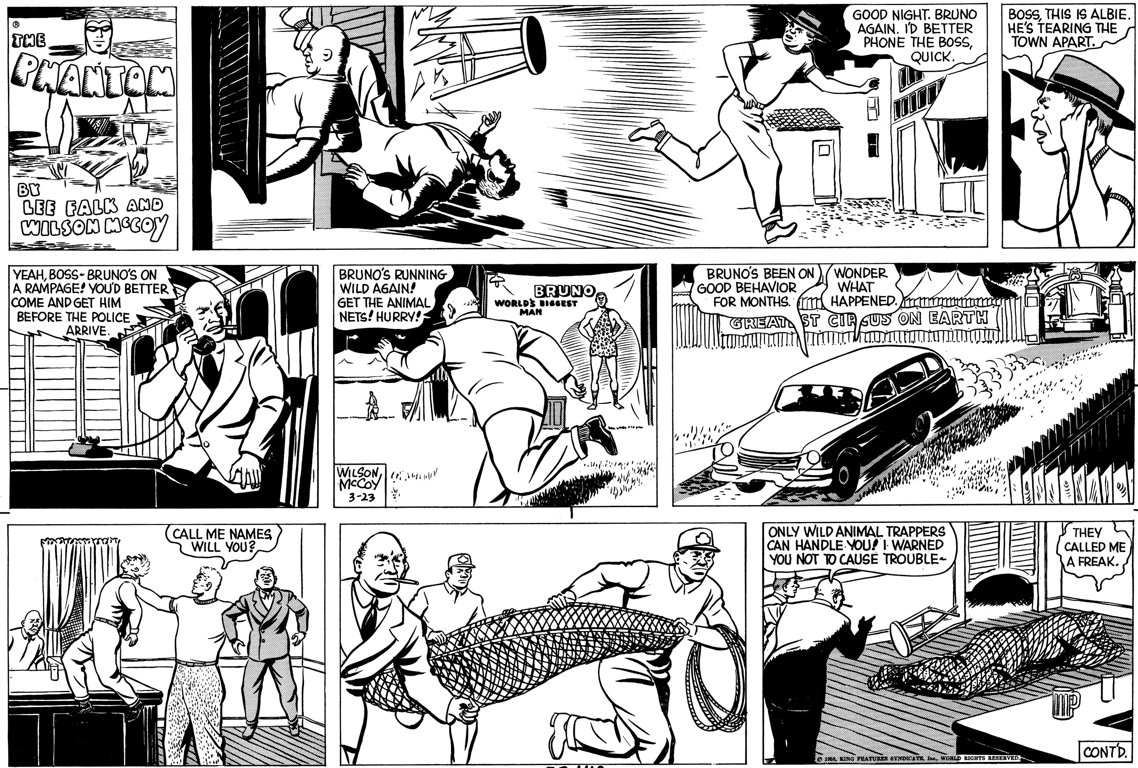 Comic book OCR: ? THE PHANTOM BY LEE FALK AND WILSON MCCOY YEAHBOSS-BRUNO'S ON A RAMPAGE! YOU'D BETTER COME AND GET HIM BEFORE THE POLICE ARRIVE. CALL ME NAMES WILL YOU? BRUNO'S RUNNING WILD AGAIN! GET THE ANIMAL NETS! HURRY! WILSON McCoy 3-23 '' BRUNO WORLD'S BIGGEST MAN ?? BRUNO'S BEEN ON GOOD BEHAVIOR FOR MONTHS. 10 GOOD NIGHT. BRUNO AGAIN. I'D BETTER PHONE THE BOSSQUICK. WONDER WHAT HAPPENED. I mmmmmmm GREAT ST CIR SUS ON EARTH UC U U U U ONLY WILD ANIMAL TRAPPERS CAN HANDLE YOU! I WARNED YOU NOT TO CAUSE TROUBLE BOSSTHIS IS ALBIE. HE'S TEARING THE TOWN APART. © 1988. KING FEATURES SYNDICATEWORLD RIGHTS RESERVED. MIC THEY CALLED ME A FREAK. CONTD. ? THE PHANTOM BY LEE FALK AND WILSON MCCOY YEAHBOSS - BRUNO'S ON A RAMPAGE ! YOU'D BETTER COME AND GET HIM BEFORE THE POLICE ARRIVE . CALL ME NAMES WILL YOU ? BRUNO'S RUNNING WILD AGAIN ! GET THE ANIMAL NETS ! HURRY ! WILSON McCoy 3-23 ' ' BRUNO WORLD'S BIGGEST MAN ?? BRUNO'S BEEN ON GOOD BEHAVIOR FOR MONTHS . 10 GOOD NIGHT . BRUNO AGAIN . I'D BETTER PHONE THE BOSSQUICK . WONDER WHAT HAPPENED . I mmmmmmm GREAT ST CIR SUS ON EARTH UC U U U U ONLY WILD ANIMAL TRAPPERS CAN HANDLE YOU ! I WARNED YOU NOT TO CAUSE TROUBLE BOSSTHIS IS ALBIE . HE'S TEARING THE TOWN APART . © 1988. KING FEATURES SYNDICATEWORLD RIGHTS RESERVED . MIC THEY CALLED ME A FREAK . CONTD .