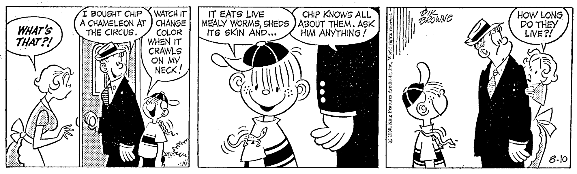 Gesture OCR: Í BOUGHT CHIP CHIP KNOWS ALL IT EATS LIVE MEALY WORMSSHEDS )ABOUT THEM. ASK ITS SKIN AND... HOW LONG DO THEY LIVE ?! WATCH IT A CHAMELEON AT ) CHANGE COLOR WHEN IT CRAWLS ON MY NECK! WHAT'S THAT?! THE CIRCUS. HIM ANYTHING! 8-10 Í BOUGHT CHIP CHIP KNOWS ALL IT EATS LIVE MEALY WORMSSHEDS )ABOUT THEM. ASK ITS SKIN AND... HOW LONG DO THEY LIVE ?! WATCH IT A CHAMELEON AT ) CHANGE COLOR WHEN IT CRAWLS ON MY NECK! WHAT'S THAT?! THE CIRCUS. HIM ANYTHING! 8-10