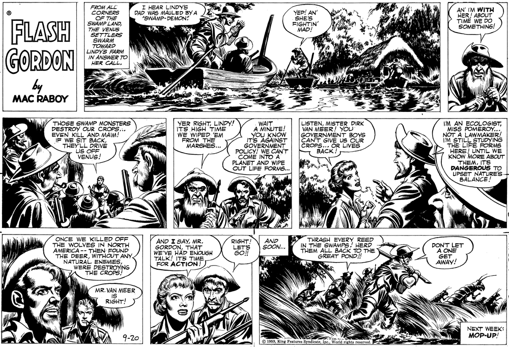 Organism OCR: VM STILLSTUDYING I HEAR LINDYS DAD WAS MAULED BY A "SWAMP-DEMON: FROM ALL CORNERS OF THE SWAMP LANDTHE VENUS SETTLERS SWARM YEP! AN' SHE'S FIGHTIN' MAD! AN' IM WITH HER! ABOUT TIME WE DO SOMETHING! FLASH GORDON TOWARD LINDY'S FARM IN ANSWER TO HER CALL. by MAC RABOY THOSE SWAMP MONSTERS DESTROY OUR CROPS... EVEN KILL AND MAIM! IF WE SIT BACKTHEY'LL DRIVE US OFF VENUS! VER RIGHTLINDY! ITS HIGH TIME WE WIPED 'EM "EROM THE MARSHES... WAIT A MINUTE! YOU KNOW IT'S AGAINST GOVERNMENT POLICY! WE CAN'T COME INTO A PLANET AND WIPE OUT LIFE FORMS.. LISTENMISTER DIRK VAN MEER! YOU GOVERNMENT BOYS CAN'T GIVE US OUR CROPS... OR LIVES BACK AN ECOLOGIST"MISS POMEROY... NOT A THE LIFE FORMS HERE! UNTIL WE KNOW MORE ABOUT THEMITS DANGEROUS TO UPSET NATURE'S BALANCE! ONCE WE KILLED OFF THE WOLVES IN NORTH AMERICA -- THEN FOUND THE DEERWITHOUT ANY NATURAL ENEMIESWERE DESTROYNG THE CROP! THRASH EVERY REED IN THE SWAMPS! HERD THEM ALL BACK TO THE GREAT POND! AND I SAYMR. GORDONTHAT WE'VE HAD ENOUGH TALK! ITS TIME FOR ACTION! RIGHT: LETS GO! AND SOON... DON'T LET A ONE GET AWAY! MR. VAN MEER IS RIGHT! NEXT WEEK: MOP-UP! 9-20. © 1959Inc. World rights reserved. VM STILLSTUDYING I HEAR LINDYS DAD WAS MAULED BY A "SWAMP-DEMON: FROM ALL CORNERS OF THE SWAMP LANDTHE VENUS SETTLERS SWARM YEP! AN' SHE'S FIGHTIN' MAD! AN' IM WITH HER! ABOUT TIME WE DO SOMETHING! FLASH GORDON TOWARD LINDY'S FARM IN ANSWER TO HER CALL. by MAC RABOY THOSE SWAMP MONSTERS DESTROY OUR CROPS... EVEN KILL AND MAIM! IF WE SIT BACKTHEY'LL DRIVE US OFF VENUS! VER RIGHTLINDY! ITS HIGH TIME WE WIPED 'EM "EROM THE MARSHES... WAIT A MINUTE! YOU KNOW IT'S AGAINST GOVERNMENT POLICY! WE CAN'T COME INTO A PLANET AND WIPE OUT LIFE FORMS.. LISTENMISTER DIRK VAN MEER! YOU GOVERNMENT BOYS CAN'T GIVE US OUR CROPS... OR LIVES BACK AN ECOLOGIST"MISS POMEROY... NOT A THE LIFE FORMS HERE! UNTIL WE KNOW MORE ABOUT THEMITS DANGEROUS TO UPSET NATURE'S BALANCE! ONCE WE KILLED OFF THE WOLVES IN NORTH AMERICA -- THEN FOUND THE DEERWITHOUT ANY NATURAL ENEMIESWERE DESTROYNG THE CROP! THRASH EVERY REED IN THE SWAMPS! HERD THEM ALL BACK TO THE GREAT POND! AND I SAYMR. GORDONTHAT WE'VE HAD ENOUGH TALK! ITS TIME FOR ACTION! RIGHT: LETS GO! AND SOON... DON'T LET A ONE GET AWAY! MR. VAN MEER IS RIGHT! NEXT WEEK: MOP-UP! 9-20. © 1959King Festures SyndicateInc. World rights reserved.