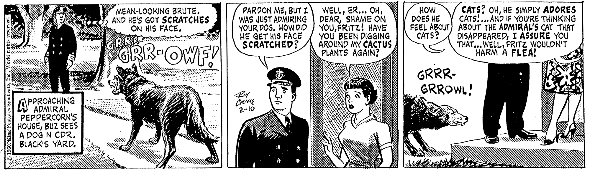 Conversation OCR: 1960World rights reserved. PPROACHING PEPPERCORN'S HOUSEBUZ SEES A DOG IN CDR. BLACK'S YARD. MEAN-LOOKING BRUTE. AND HE'S GOT SCRATCHES ON HIS FACE. GRR-OWF! PARDON MEBUT I WAS JUST ADMIRING YOUR DOGHOW DID HE GET HIS FACE SCRATCHED? Carag 2-10 WELLSHAME ON YOUFRITZ! HAVE YOU BEEN DIGGING AROUND MY CACTUS PLANTS AGAIN? HOW DOES HE FEEL ABOUT CATS? CATS? OHHE SIMPLY ADORES CATS!... AND IF YOU'RE THINKING ABOUT THE ADMIRAL'S CAT THAT DISAPPEAREDI ASSURE YOU THAT... WELLFRITZ WOULDN'T HARM A FLEA! GRRR- GRROWL! des entr 1960King Features SyndicateWorld rights reserved . PPROACHING PEPPERCORN'S HOUSEBUZ SEES A DOG IN CDR . BLACK'S YARD . MEAN - LOOKING BRUTE . AND HE'S GOT SCRATCHES ON HIS FACE . GRR - OWF ! PARDON MEBUT I WAS JUST ADMIRING YOUR DOGHOW DID HE GET HIS FACE SCRATCHED ? Carag 2-10 WELLER ... OHSHAME ON YOUFRITZ ! HAVE YOU BEEN DIGGING AROUND MY CACTUS PLANTS AGAIN ? HOW DOES HE FEEL ABOUT CATS ? CATS ? OHHE SIMPLY ADORES CATS ! ... AND IF YOU'RE THINKING ABOUT THE ADMIRAL'S CAT THAT DISAPPEAREDI ASSURE YOU THAT ... WELLFRITZ WOULDN'T HARM A FLEA ! GRRR GRROWL ! des entr