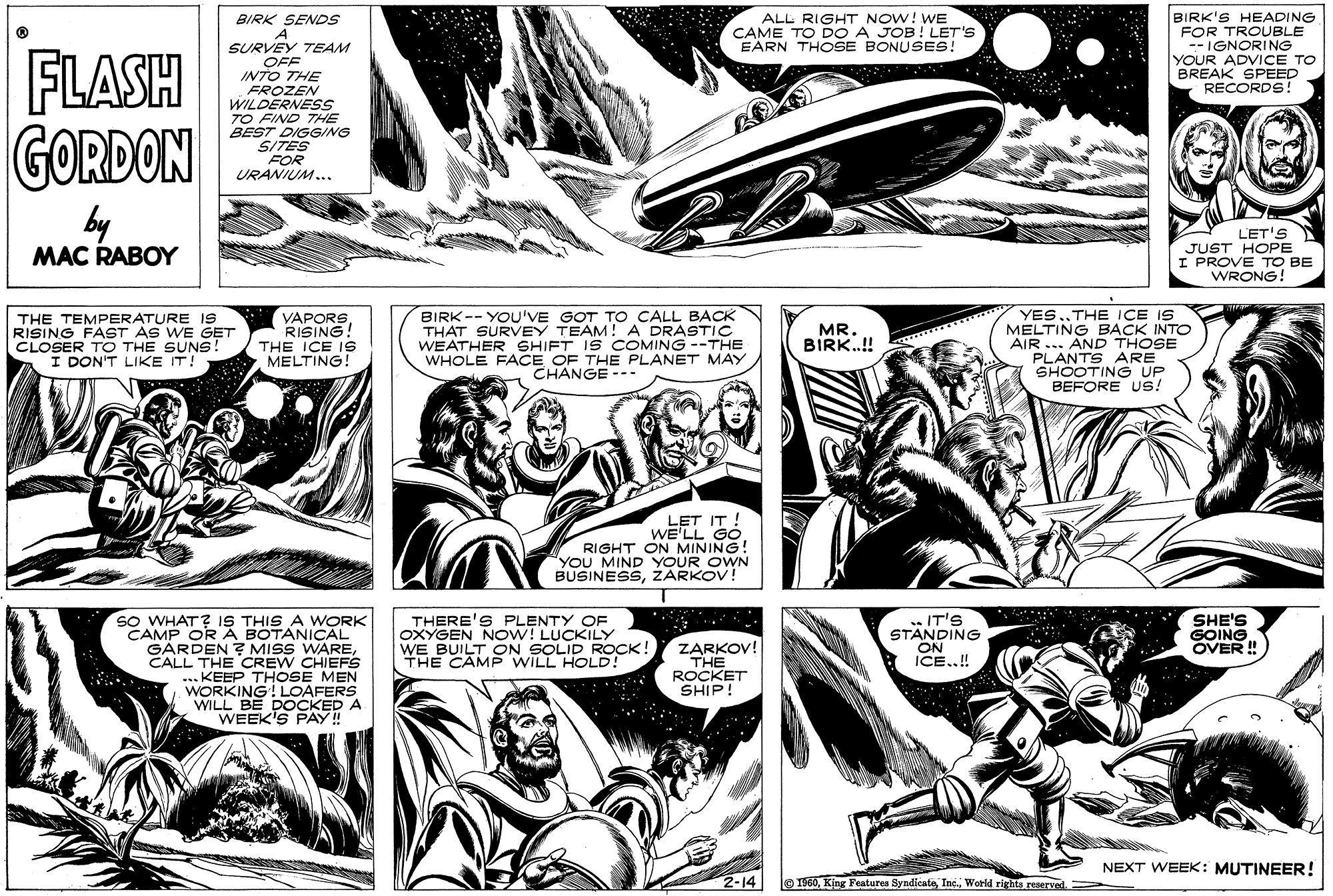 Font OCR: BIRK'S HEADING FOR TROUBLE --IGNORING YOUR ADVICE TO BREAK SPEED RECORDS ! ALL RIGHT NOW! WE CAME TO DO A JOB ! LET'S EARN THOSE BONUSES! FLASH GORDON BIRK SENDS A SURVEY TEAM OFF INTO THE FROZEN WILDERNESS TO FIND THE BEST DIGGING SITES FOR URANIUM... by MAC RABOY LET'S JUST HOPE I PROVE TO BE WRONG! THE TEMPERATURE IS RISING FAST AS WE GET CLOSER TO THE SUNS! I DON'T LIKE IT! VAPORS RISING! THE ICE IS MELTING! BIRK-- YOU'VE GOT TO CALL BACK THAT SURVEY TEAM! A DRASTIC WEATHER SHIFT IS COMING --THE WHOLE FACE OF THE PLANET MAY CHANGE --- YES..THE ICE IS MELTING BACK INTO AIR ... AND THOSE PLANTS ARE SHOOTING UP BEFORE US! MR. BIRK.! LET IT WELL GO RIGHT ON MINING! "YOU MIND YOUR OWN BUSINESSŽARKOV! sO WHAT? IS THIS A WORK CAMP ORA BOTANICAL GARDEN ? MISS WARECALL THE CREW CHIEFS ... KEEP THOSE MEN WORKING! LOAFERS WILL BE DOCKED A WEEK'S PAY ! THERE'S PLENTY OF OXYGEN NOW! LUCKILY WE BUILT ON SOLID ROCK! THE CAMP WILL HOLD! IT'S STANDING ON ICE..! SHE'S GOING OVER ! ZARKOV! THE ROCKET SHIP! NEXT WEEK: MUTINEER! 2-14 E50World rights reserved BIRK'S HEADING FOR TROUBLE --IGNORING YOUR ADVICE TO BREAK SPEED RECORDS ! ALL RIGHT NOW! WE CAME TO DO A JOB ! LET'S EARN THOSE BONUSES! FLASH GORDON BIRK SENDS A SURVEY TEAM OFF INTO THE FROZEN WILDERNESS TO FIND THE BEST DIGGING SITES FOR URANIUM... by MAC RABOY LET'S JUST HOPE I PROVE TO BE WRONG! THE TEMPERATURE IS RISING FAST AS WE GET CLOSER TO THE SUNS! I DON'T LIKE IT! VAPORS RISING! THE ICE IS MELTING! BIRK-- YOU'VE GOT TO CALL BACK THAT SURVEY TEAM! A DRASTIC WEATHER SHIFT IS COMING --THE WHOLE FACE OF THE PLANET MAY CHANGE --- YES..THE ICE IS MELTING BACK INTO AIR ... AND THOSE PLANTS ARE SHOOTING UP BEFORE US! MR. BIRK.! LET IT WELL GO RIGHT ON MINING! "YOU MIND YOUR OWN BUSINESSŽARKOV! sO WHAT? IS THIS A WORK CAMP ORA BOTANICAL GARDEN ? MISS WARECALL THE CREW CHIEFS ... KEEP THOSE MEN WORKING! LOAFERS WILL BE DOCKED A WEEK'S PAY ! THERE'S PLENTY OF OXYGEN NOW! LUCKILY WE BUILT ON SOLID ROCK! THE CAMP WILL HOLD! IT'S STANDING ON ICE..! SHE'S GOING OVER ! ZARKOV! THE ROCKET SHIP! NEXT WEEK: MUTINEER! 2-14 E50King Featurea SyndicateWorld rights reserved