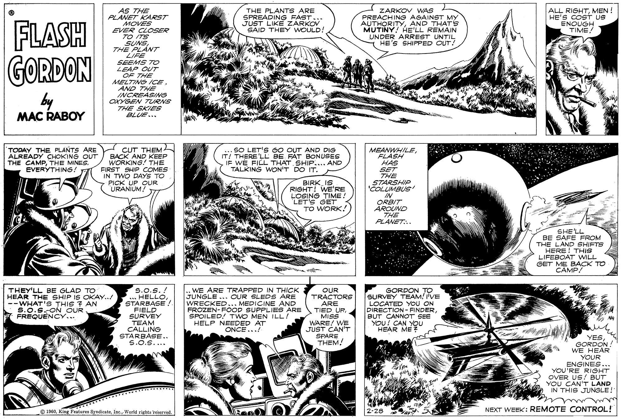Monochrome OCR: AS THE PLANET KARST MOVES EVER CLOSER TO ITS SUNSTHE PLANT LIFE SEEMS TO LEAP OUT OF THE MELTING ICE. AND THE INCREASING OXYGEN TURNS THE SKIES BLUE... THE PLANTS ARE SPREADING FAST... JUST LIKE ZARKOV SAID THEY WOULD! ZARKOV WAS PREACHING AGAINST MY AUTHORITYAND THATS MUTINY! HE'LL REMAIN UNDER ARREST UNTIL HE'S SHIPPED OUT! ALL RIGHTMEN ! HE'S COST US ENOUGH FLASH GORDON ETIME by MAC RABOY TODAY THE PLANTS ARE ALREADY CHOKING OUT THE CAMPTHE MINES. EVERYTHING! CUT THEM BACK AND KEEP WORKING! THE FIRST SHIP COMES IN TWO DAYS TO PICK UP OUR URANIUM! ... SO LET'S GO OUT AND DIG IT! THERE'LL BE FAT BONUSES IF WE FILL THAT SHIP.... AND TALKING WON'T DO IT. MEANWHILEFLASH HAS SET THE STARSHIP 'COLUMBUS BIRK_IS RIGHT! WE'RE LOSING TIME! LET'S GET TO WORK! IN ORBIT AROUND THE PLANET.. SHE'LL BE SAFE FROM THE LAND SHIFTS HERE ! THIS LIFEBOAT WILL GET ME BACK TO CAMP! THEY'LL BE GLAD TO HEAR THE SHIP IS OKAY..! --WHAT'S THIS 7 AN S.O.S. ON OUR FREQUENCY... S.0.S. ! ... HELLOSTARBASE ! FIELD SURVEY TEAM CALLING STARBASE.. S.0.S.... .. WE ARE TRAPPED IN THICK JUNGLE ... OUR SLEDS ARE WRECKED... MEDICINE AND FROZEN-FOOD SUPPLIES ARE SPOILED! TWO MEN ILL! HELP NEEDED AT ONCE...! OUR TRACTORS ARE TIED URMISS WARE! WE JUST CAN'T GORDON TO SURVEY TEAM! I'VE LOCATED YOU ON DIRECTION - FINDERBUT CANNOT SEE YOU! CAN YOU EAR ME SPARE THEM! YESGORDON ! WE HEAR YOUR ENGINES. ... YOU'RE RIGHT OVER US! BUT YOU CAN'T LAND IN THIS JUNGLE! O 1960World rights reserved. 2-28 NEXT WEEK: REMOTE CONTROL! AS THE PLANET KARST MOVES EVER CLOSER TO ITS SUNSTHE PLANT LIFE SEEMS TO LEAP OUT OF THE MELTING ICE. AND THE INCREASING OXYGEN TURNS THE SKIES BLUE... THE PLANTS ARE SPREADING FAST... JUST LIKE ZARKOV SAID THEY WOULD! ZARKOV WAS PREACHING AGAINST MY AUTHORITYAND THATS MUTINY! HE'LL REMAIN UNDER ARREST UNTIL HE'S SHIPPED OUT! ALL RIGHTMEN ! HE'S COST US ENOUGH FLASH GORDON ETIME by MAC RABOY TODAY THE PLANTS ARE ALREADY CHOKING OUT THE CAMPTHE MINES. EVERYTHING! CUT THEM BACK AND KEEP WORKING! THE FIRST SHIP COMES IN TWO DAYS TO PICK UP OUR URANIUM! ... SO LET'S GO OUT AND DIG IT! THERE'LL BE FAT BONUSES IF WE FILL THAT SHIP.... AND TALKING WON'T DO IT. MEANWHILEFLASH HAS SET THE STARSHIP 'COLUMBUS BIRK_IS RIGHT! WE'RE LOSING TIME! LET'S GET TO WORK! IN ORBIT AROUND THE PLANET.. SHE'LL BE SAFE FROM THE LAND SHIFTS HERE ! THIS LIFEBOAT WILL GET ME BACK TO CAMP! THEY'LL BE GLAD TO HEAR THE SHIP IS OKAY..! --WHAT'S THIS 7 AN S.O.S. ON OUR FREQUENCY... S.0.S. ! ... HELLOSTARBASE ! FIELD SURVEY TEAM CALLING STARBASE.. S.0.S.... .. WE ARE TRAPPED IN THICK JUNGLE ... OUR SLEDS ARE WRECKED... MEDICINE AND FROZEN-FOOD SUPPLIES ARE SPOILED! TWO MEN ILL! HELP NEEDED AT ONCE...! OUR TRACTORS ARE TIED URMISS WARE! WE JUST CAN'T GORDON TO SURVEY TEAM! I'VE LOCATED YOU ON DIRECTION - FINDERBUT CANNOT SEE YOU! CAN YOU EAR ME SPARE THEM! YESGORDON ! WE HEAR YOUR ENGINES. ... YOU'RE RIGHT OVER US! BUT YOU CAN'T LAND IN THIS JUNGLE! O 1960King Features SyndicateWorld rights reserved. 2-28 NEXT WEEK: REMOTE CONTROL!