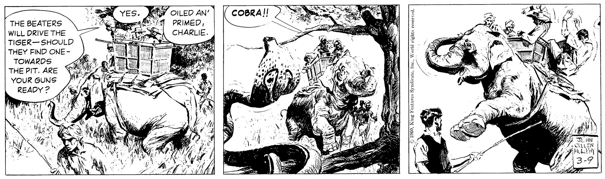 Terrestrial animal OCR: YES. OILED AN' COBRA!! PRIMEDTHE BEATERS WILL DRIVE THE TIGER-SHOULD THEY FIND ONE- CHARLIE. TOWARDS THE PIT. ARE YOUR GUNS READY? YES. OILED AN' COBRA!! PRIMEDTHE BEATERS WILL DRIVE THE TIGER-SHOULD THEY FIND ONE- CHARLIE. TOWARDS THE PIT. ARE YOUR GUNS READY?