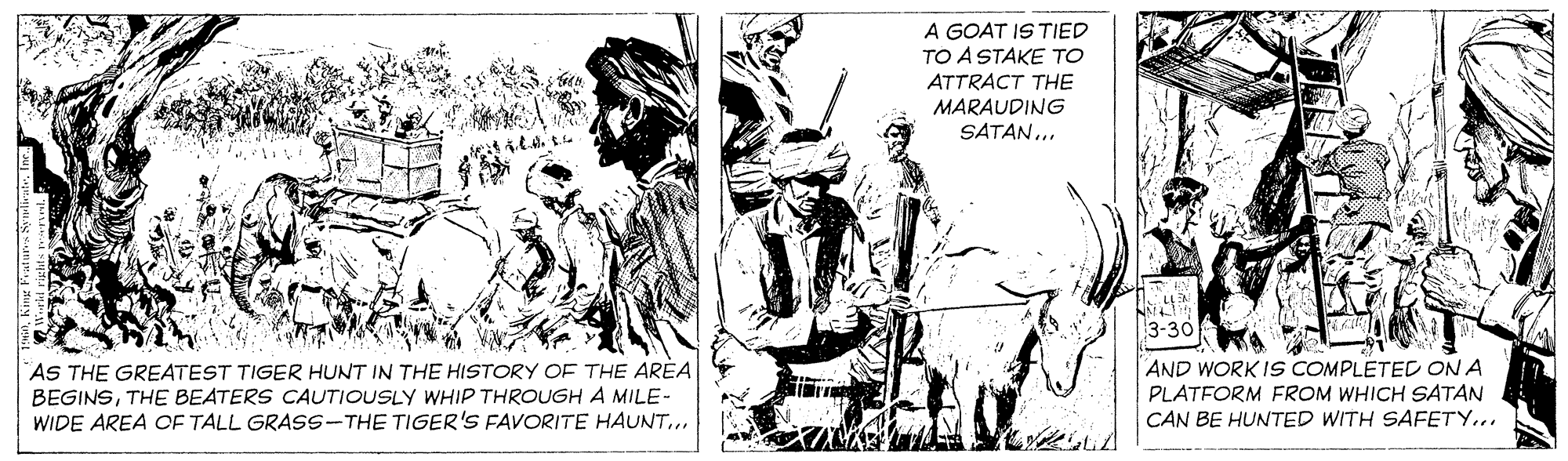 Sketch OCR: A GOAT IS TIED TO A STAKE TO ATTRACT THE MARAUDING SATAN... 3-30 AND WORK Is COMPLETED ON A AS THE GREATEST TIGER HUNT IN THE HISTORY OF THE AREA BEGINSTHE BEATERS CAUTIOUSLY WHIP THROUGH A MILE- WIDE AREA CF TALL GRASS-THE TIGER'S FAVORITE HAUNT.. PLATFORM FROM WHICH SATAN CAN BE HUNTED WITH SAFETY.. A GOAT IS TIED TO A STAKE TO ATTRACT THE MARAUDING SATAN... 3-30 AND WORK Is COMPLETED ON A AS THE GREATEST TIGER HUNT IN THE HISTORY OF THE AREA BEGINSTHE BEATERS CAUTIOUSLY WHIP THROUGH A MILE- WIDE AREA CF TALL GRASS-THE TIGER'S FAVORITE HAUNT.. PLATFORM FROM WHICH SATAN CAN BE HUNTED WITH SAFETY..