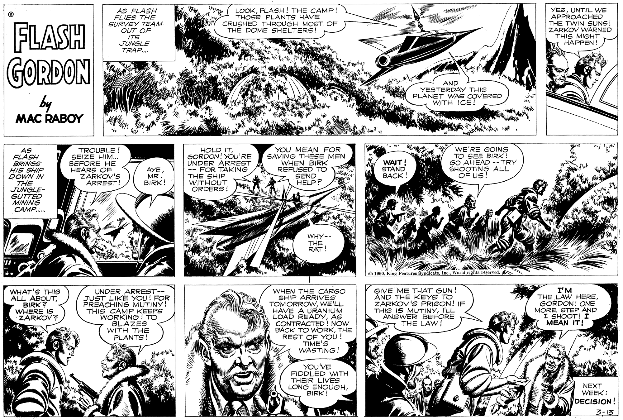Mammal OCR: FLASH AS FLASH FLIES THE SURVEY OUT O M ITS JUNGLE TRAP... LOOKFLASH ! THE CAMP! THOSE PLANTS HAVE CRUSHED THROUGH MOST OF THE DOME SHELTERS! YESUNTIL WE APPROACHED THE TWIN SUNS! ZARKOV WARNED THIS MIGHT HAPPEN ! TEAM GORDON by AND YESTERDAY THIS PLANET WAS COVERED WITH ICE! MAC RABOY AS FLASH BRINGS HIS SHIP DOWN IN THE JUNGLE- GUTTED MINING CAMP.... TROUBLE ! SEIZE HIM... BEFORE HE HEARS OF ZARKOV'S ARREST! HOLDGORDON! YOU'RE UNDER ARREST -- FOR TAKING THE SHIP WITHOUT ORDERS! YOU MEAN FOR SAVING THESE MEN WHEN BIRK REFUSED TO SEND HELP? WE'RE GOING TO SEE BIRK! GO AHEAD -- TRY SHOOTING ALL OF US! ..... AYEMR. BIRK! WAIT! STAND BACK! WHY-- THE RAT! 1960. King Features SyndicateWorld rights renerved. WHAT'S THIS ALL ABOUTBIRK? WHERE IS ZÁRKOV? UNDER ARREST-- JUST LIKE YOU! FOR PREACHING MUTINY! THIS CAMP KEEPS WORKING ! TO BLAZES WITH THE PLANTS! WHEN THE CARGO SHIP ARRIVES TOMORROVWWE'LL HAVE A URANIUM LOAD READYAS CONTRACTED ! NOW BACK TO WORKTHE REST OF YOU ! TIME'S WASTING. GIVE ME THAT GUN! AND THE KEYS TO ZARKOV'S PRISON! IF THIS IS MUTINYI'LL ANSWER BEFORE THE LAW ! I'M THE LAW HEREGORDON! ONE MORE STEP AND I SHOOT! I MEAN IT! YOU'VE FIDDLED WITH THEIR LIVES LONG ENOUGHBIRK! NEXT WEEK : DECISION! 3-13 FLASH AS FLASH FLIES THE SURVEY OUT O M ITS JUNGLE TRAP... LOOKFLASH ! THE CAMP! THOSE PLANTS HAVE CRUSHED THROUGH MOST OF THE DOME SHELTERS! YESUNTIL WE APPROACHED THE TWIN SUNS! ZARKOV WARNED THIS MIGHT HAPPEN ! TEAM GORDON by AND YESTERDAY THIS PLANET WAS COVERED WITH ICE! MAC RABOY AS FLASH BRINGS HIS SHIP DOWN IN THE JUNGLE- GUTTED MINING CAMP.... TROUBLE ! SEIZE HIM... BEFORE HE HEARS OF ZARKOV'S ARREST! HOLDGORDON! YOU'RE UNDER ARREST -- FOR TAKING THE SHIP WITHOUT ORDERS! YOU MEAN FOR SAVING THESE MEN WHEN BIRK REFUSED TO SEND HELP? WE'RE GOING TO SEE BIRK! GO AHEAD -- TRY SHOOTING ALL OF US! ..... AYEMR. BIRK! WAIT! STAND BACK! WHY-- THE RAT! 1960. King Features SyndicateWorld rights renerved. WHAT'S THIS ALL ABOUTBIRK? WHERE IS ZÁRKOV? UNDER ARREST-- JUST LIKE YOU! FOR PREACHING MUTINY! THIS CAMP KEEPS WORKING ! TO BLAZES WITH THE PLANTS! WHEN THE CARGO SHIP ARRIVES TOMORROVWWE'LL HAVE A URANIUM LOAD READYAS CONTRACTED ! NOW BACK TO WORKTHE REST OF YOU ! TIME'S WASTING. GIVE ME THAT GUN! AND THE KEYS TO ZARKOV'S PRISON! IF THIS IS MUTINYI'LL ANSWER BEFORE THE LAW ! I'M THE LAW HEREGORDON! ONE MORE STEP AND I SHOOT! I MEAN IT! YOU'VE FIDDLED WITH THEIR LIVES LONG ENOUGHBIRK! NEXT WEEK : DECISION! 3-13