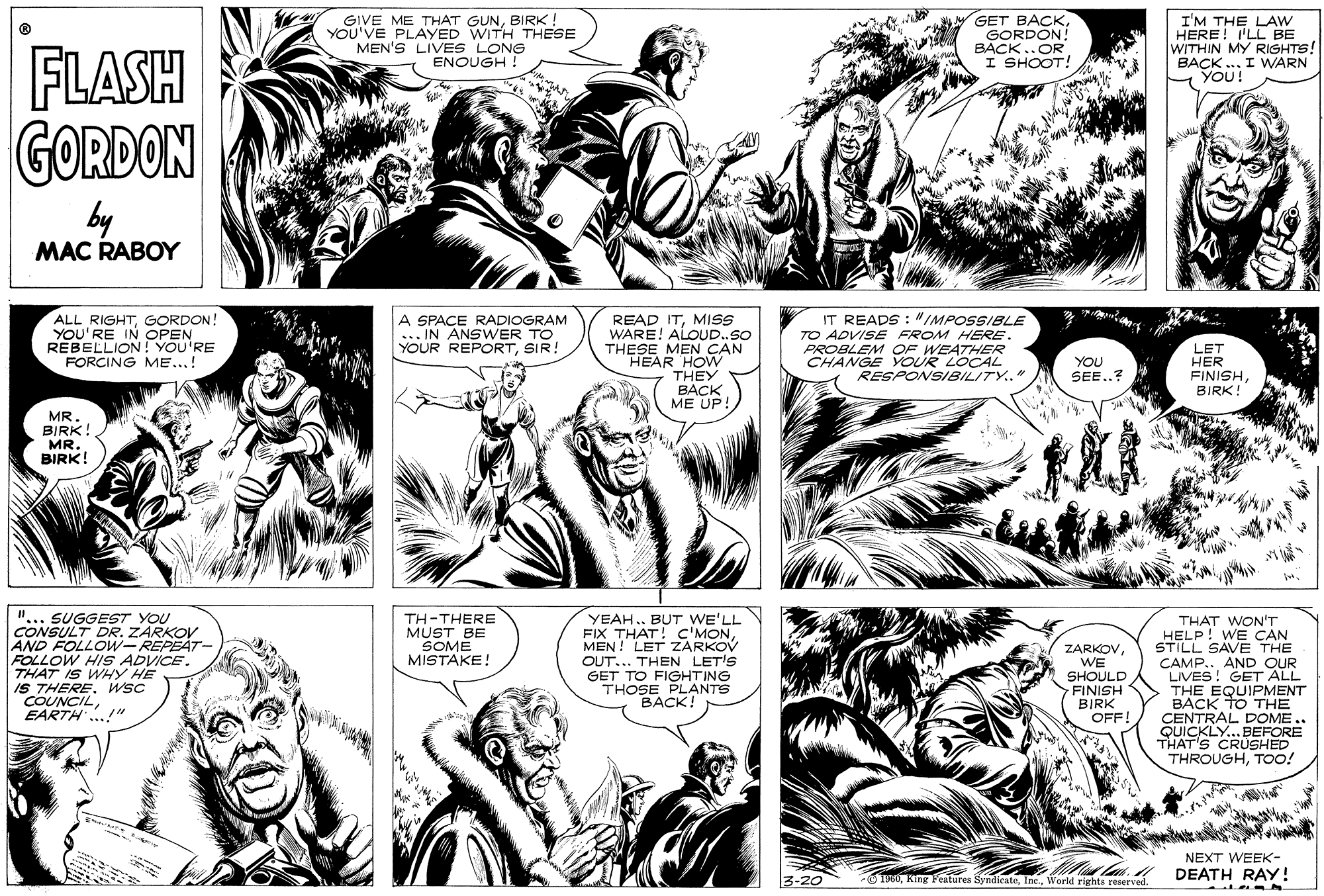 Style OCR: GIVE ME THAT GUNBIRK! YOU'VE PLAYED WITH THESE MEN'S LIVES LONG ENOUGH ! GET BACKGORDON! BACK..OR I SHOOT! I'M THE LAW HERE! I'LL BE WITHIN MY RIGHTS! BACK .. I WARN YOU! FLASH GORDON by Y MAC RABOY ALL RIGHTGORDON! YOU'RE IN OPEN REBELLION! YOU'RE FORCING ME...! READ ITMISS WARE! ALOUD.SO THESE MEN CAN HEAR HOW THEY BACK ME UP! IT READS : "IMPOSSIBLE TO ADVISE FROM HERE. PROBLEM OF WEATHER CHANGE YOUR LOCAL RESPONSIBILITY.." A SPACE RADIOGRAM ... IN ANSWER TO YOUR REPORTSIR! YOU SEE..? LET HER FINISHBIRK MR. BIRK! MR. BIRK! "... SUGGEST YOU CONSULT DR. ZARKOV AND FOLLOW-REPEAT- FOLLOW HIS ADVICE. THAT IS WHY HE I5 THERE. WSc COUNCILEARTH..!"" TH-THERE MUST BE SOME YEAH. BUT WE'LL FIX THAT! C'MONMEN ! LET ZARKOV OUT... THEN LET'S GET TO FIGHTING THOSE PLANTS BACK! ZARKOVWE SHOULD FINISH BIRK OFF! THAT WONT HELP! WE CAN STILL SAVE THE CAMP.. AND OUR LIVES! GET ALL THE EQUIPMENT BACK tO THE CENTRAL DOME.. QUICKLY...BEFORE THAT'S CRÜSHED THROUGHTOO! MISTAKE! NEXT WEEK- La DEATH RAY! 3-20 0T900World righta reserved. GIVE ME THAT GUNBIRK! YOU'VE PLAYED WITH THESE MEN'S LIVES LONG ENOUGH ! GET BACKGORDON! BACK..OR I SHOOT! I'M THE LAW HERE! I'LL BE WITHIN MY RIGHTS! BACK .. I WARN YOU! FLASH GORDON by Y MAC RABOY ALL RIGHTGORDON! YOU'RE IN OPEN REBELLION! YOU'RE FORCING ME...! READ ITMISS WARE! ALOUD.SO THESE MEN CAN HEAR HOW THEY BACK ME UP! IT READS : "IMPOSSIBLE TO ADVISE FROM HERE. PROBLEM OF WEATHER CHANGE YOUR LOCAL RESPONSIBILITY.." A SPACE RADIOGRAM ... IN ANSWER TO YOUR REPORTSIR! YOU SEE..? LET HER FINISHBIRK MR. BIRK! MR. BIRK! "... SUGGEST YOU CONSULT DR. ZARKOV AND FOLLOW-REPEAT- FOLLOW HIS ADVICE. THAT IS WHY HE I5 THERE. WSc COUNCILEARTH..!"" TH-THERE MUST BE SOME YEAH. BUT WE'LL FIX THAT! C'MONMEN ! LET ZARKOV OUT... THEN LET'S GET TO FIGHTING THOSE PLANTS BACK! ZARKOVWE SHOULD FINISH BIRK OFF! THAT WONT HELP! WE CAN STILL SAVE THE CAMP.. AND OUR LIVES! GET ALL THE EQUIPMENT BACK tO THE CENTRAL DOME.. QUICKLY...BEFORE THAT'S CRÜSHED THROUGHTOO! MISTAKE! NEXT WEEK- La DEATH RAY! 3-20 0T900KTng Festures SyndieateWorld righta reserved.