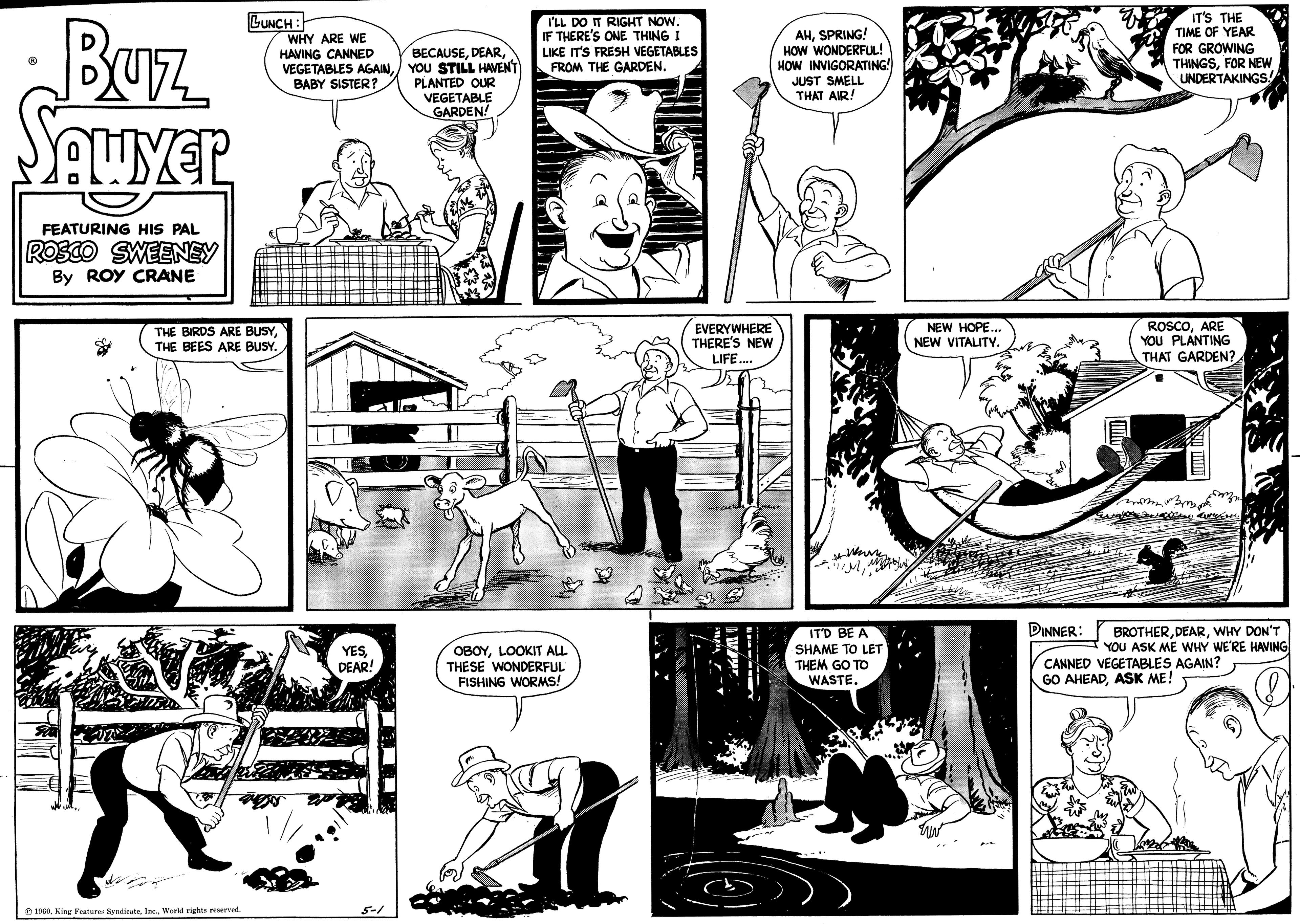 Font OCR: Buz Sawyer FEATURING HIS PAL ROSCO SWEENEY By ROY CRANE LUNCH: THE BIRDS ARE BUSYTHE BEES ARE BUSY. 1960World rights reserved. WHY ARE WE HAVING CANNED VEGETABLES AGAINBABY SISTER? YESDEAR! 5-1 BECAUSEYOU STILL HAVEN'T PLANTED OUR VEGETABLE GARDEN! I'LL DO IT RIGHT NOW. IF THERE'S ONE THING I LIKE IT'S FRESH VEGETABLES FROM THE GARDEN. OBOYLOOKIT ALL THESE WONDERFUL FISHING WORMS! EVERYWHERE THERE'S NEW LIFE.... cute PAL AHSPRING! HOW WONDERFUL! HOW INVIGORATING! JUST SMELL THAT AIR! IT'D BE A SHAME TO LET THEM GO TO WASTE. NEW HOPE... NEW VITALITY. z IT'S THE TIME OF YEAR FOR GROWING THINGSFOR NEW UNDERTAKINGS! ROSCOARE YOU PLANTING THAT GARDEN? DINNER: BROTHERWHY DON'T YOU ASK ME WHY WE'RE HAVING CANNED VEGETABLES AGAIN? GO AHEADASK ME! Buz Sawyer FEATURING HIS PAL ROSCO SWEENEY By ROY CRANE LUNCH : THE BIRDS ARE BUSYTHE BEES ARE BUSY . 1960King Features SyndicateWorld rights reserved . WHY ARE WE HAVING CANNED VEGETABLES AGAINBABY SISTER ? YESDEAR ! 5-1 BECAUSEYOU STILL HAVEN'T PLANTED OUR VEGETABLE GARDEN ! I'LL DO IT RIGHT NOW . IF THERE'S ONE THING I LIKE IT'S FRESH VEGETABLES FROM THE GARDEN . OBOYLOOKIT ALL THESE WONDERFUL FISHING WORMS ! EVERYWHERE THERE'S NEW LIFE .... cute PAL AHSPRING ! HOW WONDERFUL ! HOW INVIGORATING ! JUST SMELL THAT AIR ! IT'D BE A SHAME TO LET THEM GO TO WASTE . NEW HOPE ... NEW VITALITY . z IT'S THE TIME OF YEAR FOR GROWING THINGSFOR NEW UNDERTAKINGS ! ROSCOARE YOU PLANTING THAT GARDEN ? DINNER : BROTHERWHY DON'T YOU ASK ME WHY WE'RE HAVING CANNED VEGETABLES AGAIN ? GO AHEADASK ME !