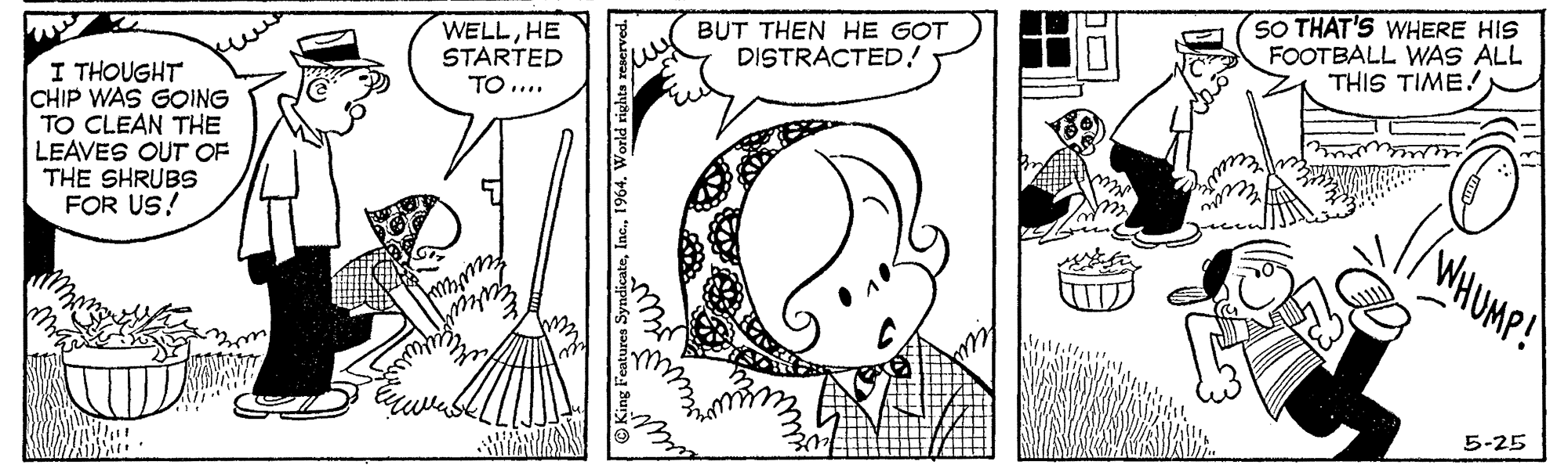 Line OCR: WELLHE STARTED TO .... BUT THEN HE GOT DISTRACTED! SO THAT'S WHERE HIS FOOTBALL WAS ALL THIS TIME! I THOUGHT CHIP WAS GOING TO CLEAN THE LEAVES OUT OF THE SHRUBS FOR US! WHUMP! 5-25 WELLHE STARTED TO .... BUT THEN HE GOT DISTRACTED! SO THAT'S WHERE HIS FOOTBALL WAS ALL THIS TIME! I THOUGHT CHIP WAS GOING TO CLEAN THE LEAVES OUT OF THE SHRUBS FOR US! WHUMP! 5-25