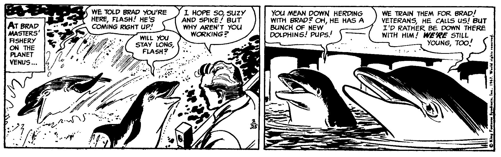 Comic book OCR: AT BRAD MASTERS' ASHERY ON THE PLANET VENUS... WE TOLD BRAD YOU'RE HEREFLASH! HE'S COMING RIGHT UP! I HOPE SOSuzY AND SPIKE! BUT WHY AREN'T YOU WORKING? YOU MEAN DOWN HERDING WITH BRAD? OHHE HAS A BUNCH OF NEW DOLPHINS! PUPS.! WE TRAIN THEM FOR BRAD! VETERANSHE CALLS uS! BUT I'D RATHER BE DOWN THERE WITH HIM! WE'RE STILL YOUNGTOO! WILL YOU STAY LONGFLASH? AT BRAD MASTERS' ASHERY ON THE PLANET VENUS... WE TOLD BRAD YOU'RE HEREFLASH! HE'S COMING RIGHT UP! I HOPE SOSuzY AND SPIKE! BUT WHY AREN'T YOU WORKING? YOU MEAN DOWN HERDING WITH BRAD? OHHE HAS A BUNCH OF NEW DOLPHINS! PUPS.! WE TRAIN THEM FOR BRAD! VETERANSHE CALLS uS! BUT I'D RATHER BE DOWN THERE WITH HIM! WE'RE STILL YOUNGTOO! WILL YOU STAY LONG