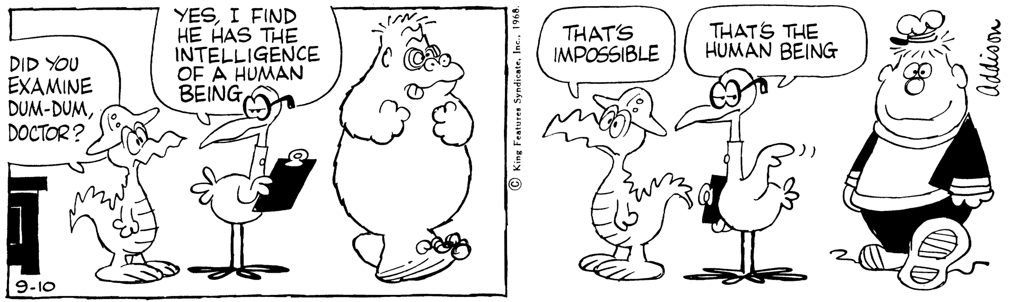 Happy OCR: YESI FIND HE HAS THE INTELLIGENCE OF A HUMAN BEING THAT'S IMPOSSIBLE THATS THE HUMAN BEING DID YOU EXAMINE DUM-DUMDOCTOR? 9-10 © King Features Syndicate1968. YESI FIND HE HAS THE INTELLIGENCE OF A HUMAN BEING THAT'S IMPOSSIBLE THATS THE HUMAN BEING DID YOU EXAMINE DUM-DUMDOCTOR? 9-10 © King Features Syndicate