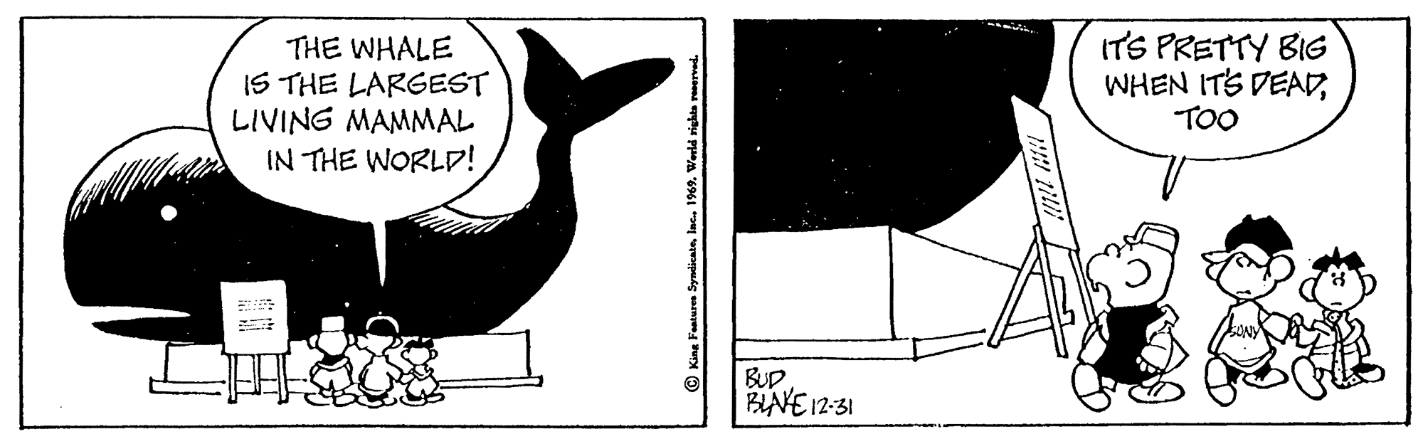 Visual arts OCR: THE WHALE IS THE LARGEST LIVING MAMMAL IN THE WORLD! ITS PRETTY BIG WHEN ITS DEADTOO BUD BANE 12-31 THE WHALE IS THE LARGEST LIVING MAMMAL IN THE WORLD! ITS PRETTY BIG WHEN ITS DEADTOO BUD BANE 12-31