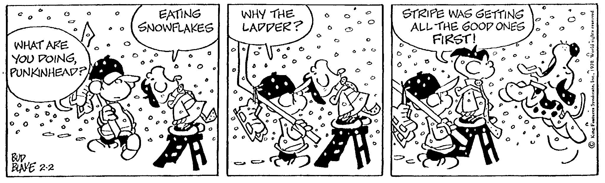 Drawing OCR: G WHAT ARE YOU DOINGPUNKINHEAD? BUD BLAKE 2.2 O EATING SNOWFLAKES WHY THE LADDER? O STRIPE WAS GETTING ALL THE GOOD ONES FIRST! G WHAT ARE YOU DOINGPUNKINHEAD ? BUD BLAKE 2.2 O EATING SNOWFLAKES WHY THE LADDER ? O STRIPE WAS GETTING ALL THE GOOD ONES FIRST !