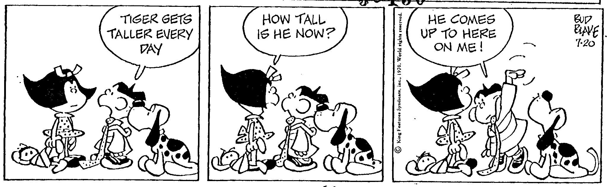 Tiger - 1970-07-20