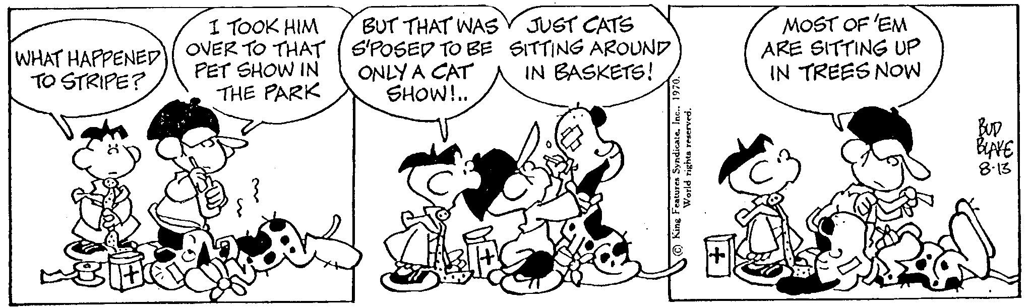 Style OCR: WHAT HAPPENED TO STRIPE? I TOOK HIM OVER TO THAT PET SHOW IN THE PARK BUT THAT WAS S'POSED TO BE ONLY A CAT SHOW!.. JUST CATS SITTING AROUND IN BASKETS! MOST OF 'EM ARE SITTING UP IN TREES NOW BUD BLAKE 8.13 WHAT HAPPENED TO STRIPE ? I TOOK HIM OVER TO THAT PET SHOW IN THE PARK BUT THAT WAS S'POSED TO BE ONLY A CAT SHOW ! .. JUST CATS SITTING AROUND IN BASKETS ! MOST OF ' EM ARE SITTING UP IN TREES NOW BUD BLAKE 8.13