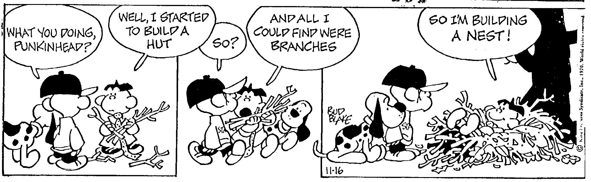 Tiger - 1970-11-16