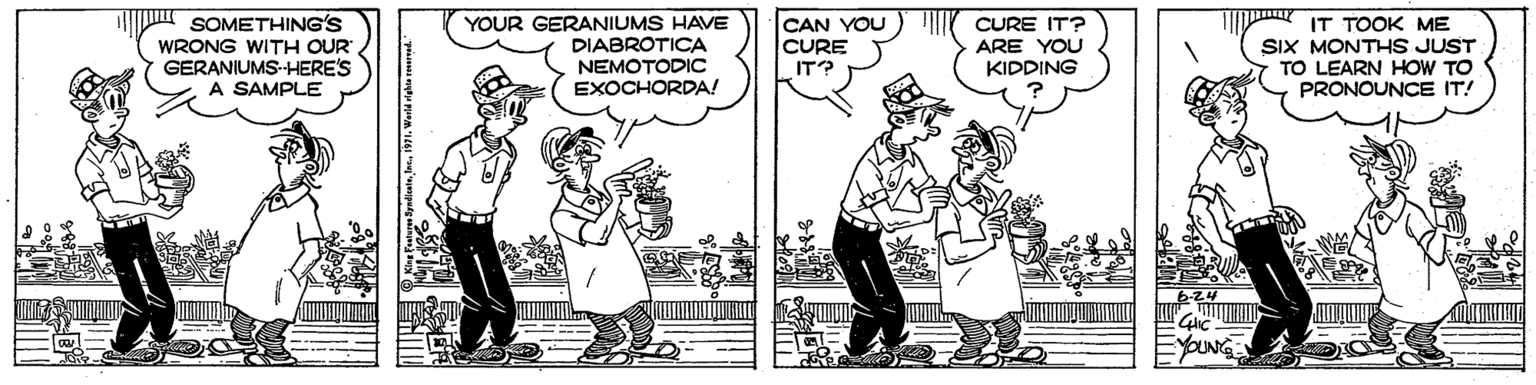Comic book OCR: I IT TrOOK ME SIX MONTHS JUST TO LEARN HOW TO PRONOUNCE IT! SOMETHING'S WRONG WITH OUR GERANIUMS-HERE'S A SAMPLE YOUR GERANIUMS HAVE DIABROTICA NEMOTODIC EXOCHORDA! CAN YOU CURE IT? CURE IT? ARE YOU KIDDING I IT TrOOK ME SIX MONTHS JUST TO LEARN HOW TO PRONOUNCE IT! SOMETHING'S WRONG WITH OUR GERANIUMS-HERE'S A SAMPLE YOUR GERANIUMS HAVE DIABROTICA NEMOTODIC EXOCHORDA! CAN YOU CURE IT? CURE IT? ARE YOU KIDDING