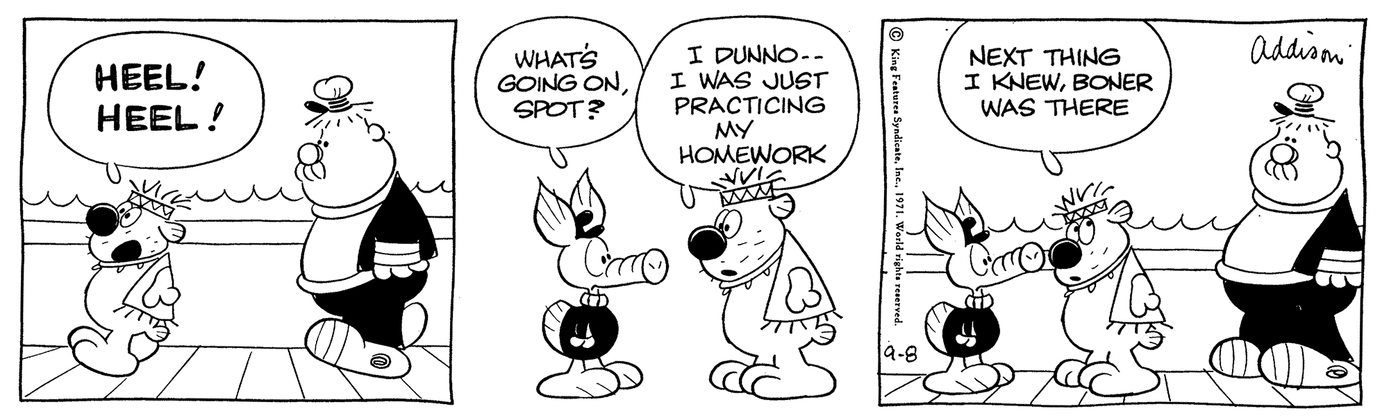 Happy OCR: Addiom WHATS GOING ONSPOT? I DUNNO-- I WAS JUST PRACTICING MY HOMEWORK VVI. HEEL! HEEL ! NEXT THING I KNEWBONER WAS THERE a-8 © King Featurea SyndicateIne. 1971. World vie Addiom WHATS GOING ONSPOT? I DUNNO-- I WAS JUST PRACTICING MY HOMEWORK VVI. HEEL! HEEL ! NEXT THING I KNEWBONER WAS THERE a-8 © King Featurea SyndicateIne. 1971. World vie
