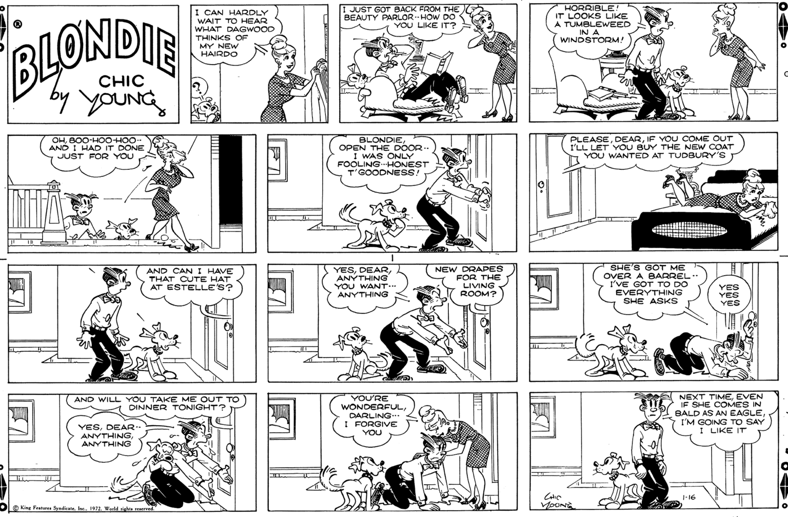 Black OCR: I CAN HARDLY WAIT TO HEAR WHAT DAGWOOD THINKS OF MY NEW I JUST GOT BACK FROM THE BEAUTY PARLORHOW DO YOU LIKE IT? HORRIBLE! IT LOOKS LIKE A TUMBLEWEED IN A BLONDIE WINDSTORM! HAIRDO CHIC by youNG -OOH-OOH-O08 'HO AND I HAD IT DONE JUST FOR YOU BLONDIEt OPEN THE DOOR I WAS ONLY FOOLING.-HONEST T'GOODNESS! PLEASEIF YOU COME OUT I'LL LET YOU BUY THE NEW COAT YOU WANTED AT TUDBURY'S AND CAN I HAVE THAT CUTE HAT AT ESTELLE'S? YESANYTHING YOU WANT. ANYTHING NEW DRAPES FOR THE LIVING ROOM? SHE'S GOT ME OVER A BARREL- I'VE GOT TO DO EVERYTHING SHE ASKS YES YES YES YOU'RE WONDERFULDARLING.. I FORGIVE YOU NEXT TIMEEVEN IF SHE COMES IN BALD AS AN EAGLEI'M GOING TO SAY I LIKE IT AND WILL YOU TAKE ME OUT TO DINNER TONIGHT? YESDEAR- ANYTHINGANYTHING 1-16 A King Feanures SyndicateWarld ights reserv VOONE I CAN HARDLY WAIT TO HEAR WHAT DAGWOOD THINKS OF MY NEW I JUST GOT BACK FROM THE BEAUTY PARLORHOW DO YOU LIKE IT? HORRIBLE! IT LOOKS LIKE A TUMBLEWEED IN A BLONDIE WINDSTORM! HAIRDO CHIC by youNG -OOH-OOH-O08 'HO AND I HAD IT DONE JUST FOR YOU BLONDIEt OPEN THE DOOR I WAS ONLY FOOLING.-HONEST T'GOODNESS! PLEASEIF YOU COME OUT I'LL LET YOU BUY THE NEW COAT YOU WANTED AT TUDBURY'S AND CAN I HAVE THAT CUTE HAT AT ESTELLE'S? YESANYTHING YOU WANT. ANYTHING NEW DRAPES FOR THE LIVING ROOM? SHE'S GOT ME OVER A BARREL- I'VE GOT TO DO EVERYTHING SHE ASKS YES YES YES YOU'RE WONDERFULDARLING.. I FORGIVE YOU NEXT TIMEEVEN IF SHE COMES IN BALD AS AN EAGLEI'M GOING TO SAY I LIKE IT AND WILL YOU TAKE ME OUT TO DINNER TONIGHT? YESDEAR- ANYTHINGANYTHING 1-16 A King Feanures SyndicateWarld ights reserv VOONE