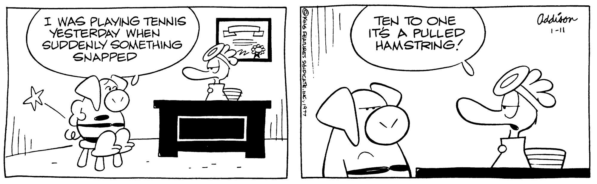Happy OCR: I WAS PLAYING TENNIS YESTERDAY WHEN SUDDENLY SOMETHING SNAPPED E KING FEATURES SYNDICATE1977 TEN TO ONE IT'S A PULLED HAMSTRING! Addison I WAS PLAYING TENNIS YESTERDAY WHEN SUDDENLY SOMETHING SNAPPED E KING FEATURES SYNDICATEINC .1977 TEN TO ONE IT'S A PULLED HAMSTRING ! Addison