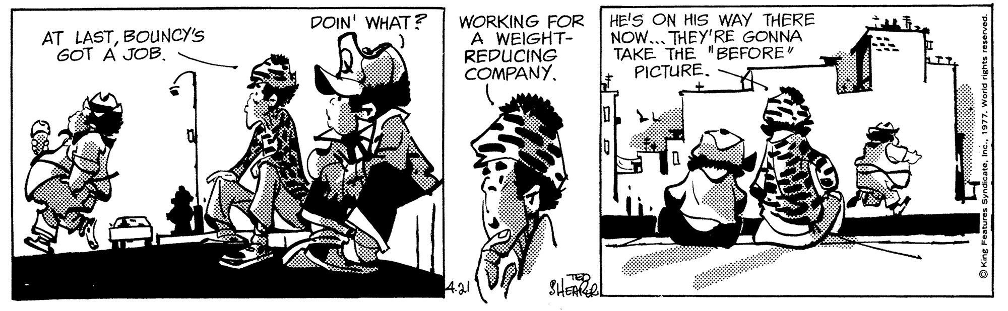 Black-and-white OCR: HE'S ON HIS WAY THERE NOW... THEY'RE GONNA TAKE THE "BEFORE PICTURE. DOIN' WHAT ? AT LASTBOUNCY'S GOT A JOB. WORKING FOR A WEIGHT- REDUCING COMPANY421 SHERel HE'S ON HIS WAY THERE NOW... THEY'RE GONNA TAKE THE "BEFORE PICTURE. DOIN' WHAT ? AT LASTBOUNCY'S GOT A JOB. WORKING FOR A WEIGHT- REDUCING COMPANY421 SHERel