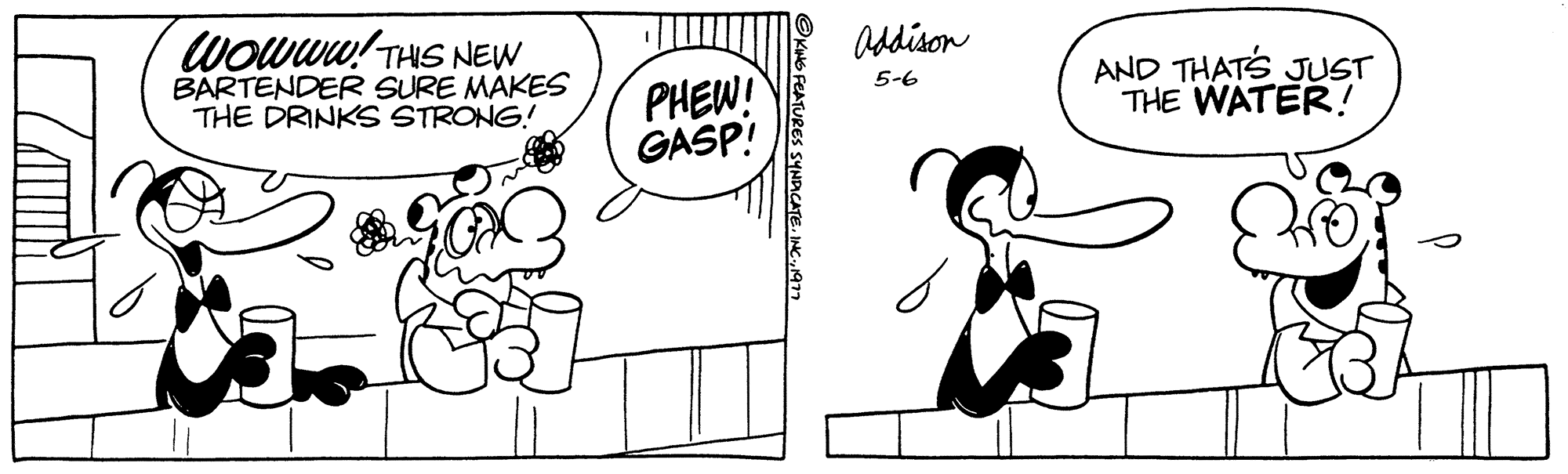 Font OCR: Wowww! THIS NEW BARTENDER SURE MAKES THE DRINKS STRONG! PHEW! GASP! ?KING FEATURES SYNDICATE. I 1922 Addison 5-6 AND THAT'S JUST THE WATER! Wowww ! THIS NEW BARTENDER SURE MAKES THE DRINKS STRONG ! PHEW ! GASP ! ?KING FEATURES SYNDICATE . I 1922 Addison 5-6 AND THAT'S JUST THE WATER !