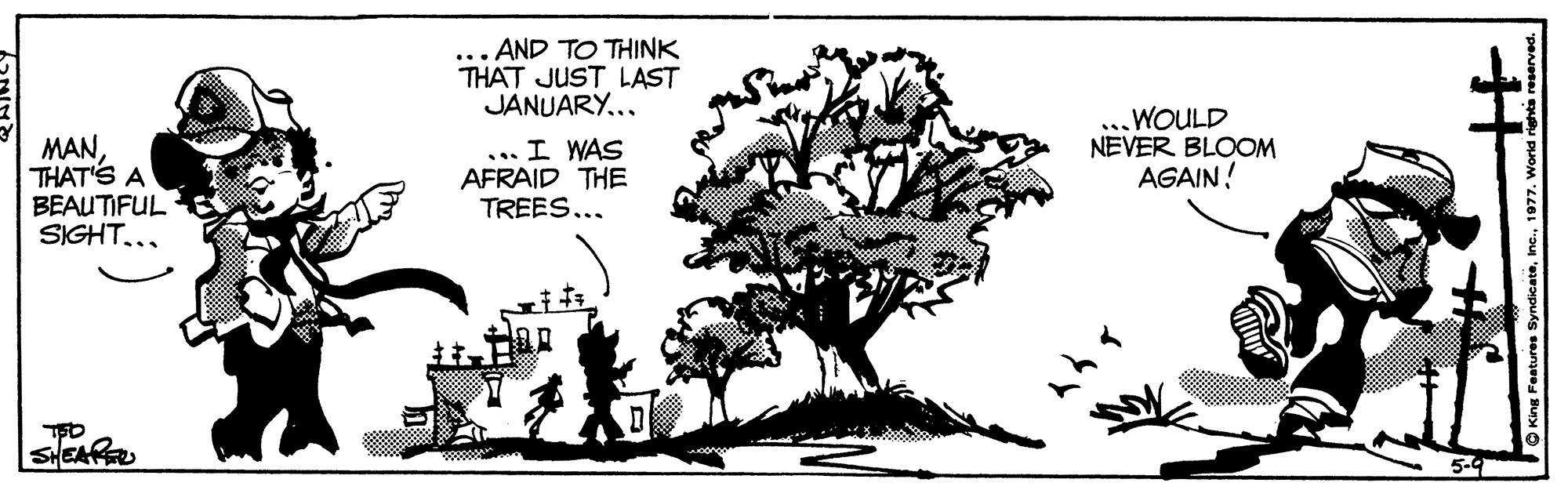 Drawing OCR: AND TO THINK THAT JUST LAST JANUARY... WOULD NEVER BLOOM AGAIN! MANTHAT'S A BEAUTIFUL SIGHT... ... I WAS AFRAID THE TREES... SEAP AND TO THINK THAT JUST LAST JANUARY... WOULD NEVER BLOOM AGAIN! MANTHAT'S A BEAUTIFUL SIGHT... ... I WAS AFRAID THE TREES... SEAP