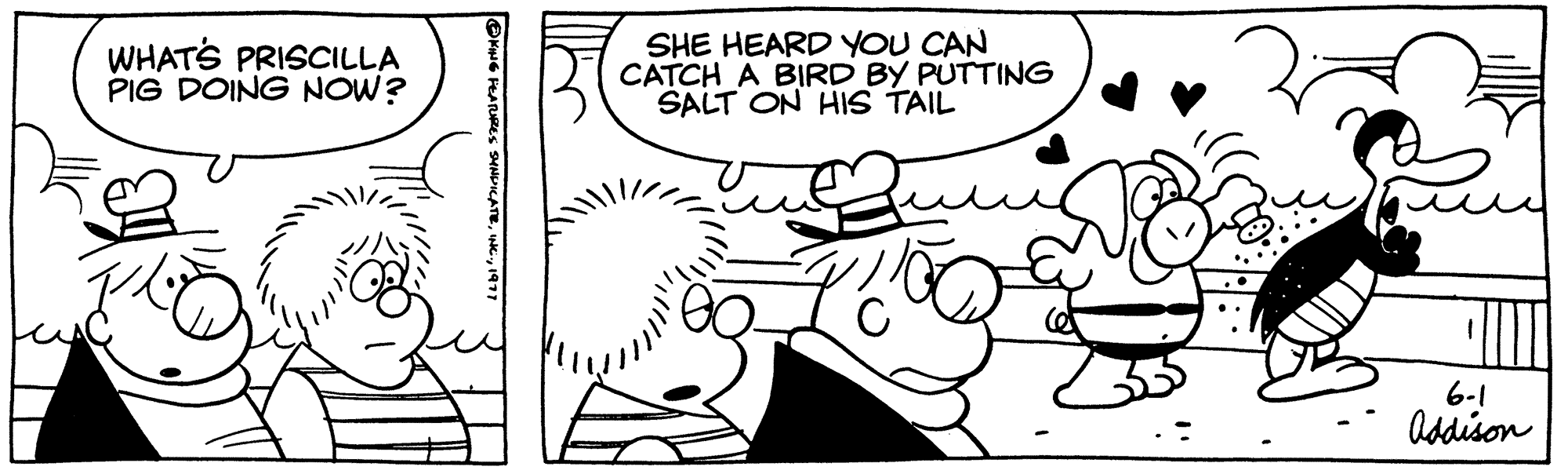 Cartoon OCR: WHAT'S PRISCILLA PIG DOING NOW? SHE HEARD YOU CAN CATCH A BIRD BY PUTTING SALT ON HIS TAIL 6-1 Addison WHAT'S PRISCILLA PIG DOING NOW ? SHE HEARD YOU CAN CATCH A BIRD BY PUTTING SALT ON HIS TAIL 6-1 Addison