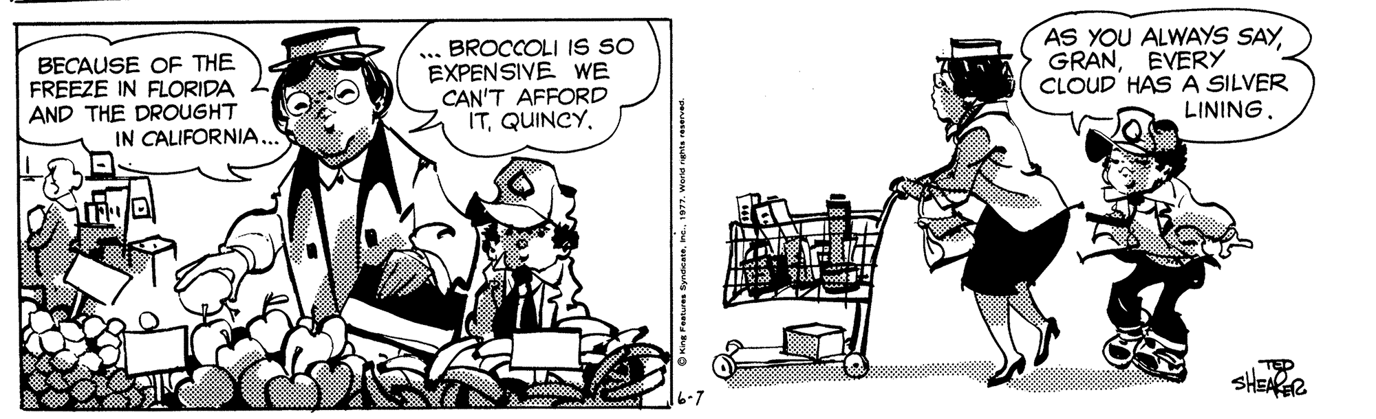 Illustration OCR: BECAUSE OF THE FREEZE IN FLORIDA AND THE DROUGHT IN CALIFORNIA... BROCCOLI IS SO EXPENSIVE WE CAN'T AFFORD ITQUINCY. AS YOU ALWAYS SAYEVERY CLOUD HASA SILVER LINING. SHEARER 16-7 BECAUSE OF THE FREEZE IN FLORIDA AND THE DROUGHT IN CALIFORNIA... BROCCOLI IS SO EXPENSIVE WE CAN'T AFFORD ITQUINCY. AS YOU ALWAYS SAYEVERY CLOUD HASA SILVER LINING. SHEARER 16-7