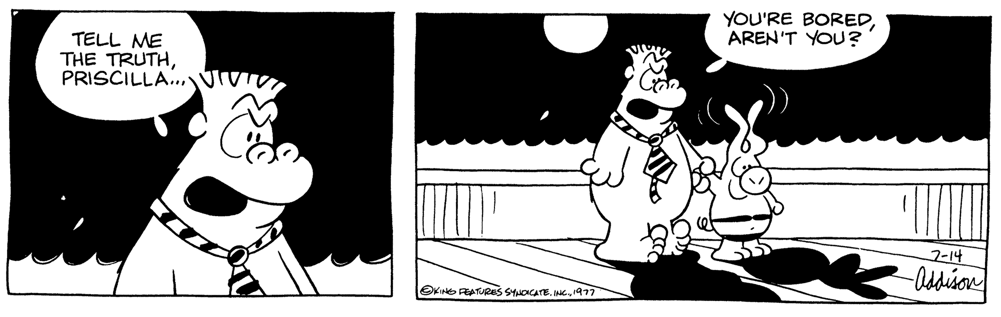 Rectangle OCR: TELL ME THE TRUTHPRISCILLA... KING FEATURES SYNDICATE1977 YOU'RE BOREDAREN'T YOU? 2-14 -Addison TELL ME THE TRUTHPRISCILLA ... KING FEATURES SYNDICATEINC .1977 YOU'RE BOREDAREN'T YOU ? 2-14 -Addison