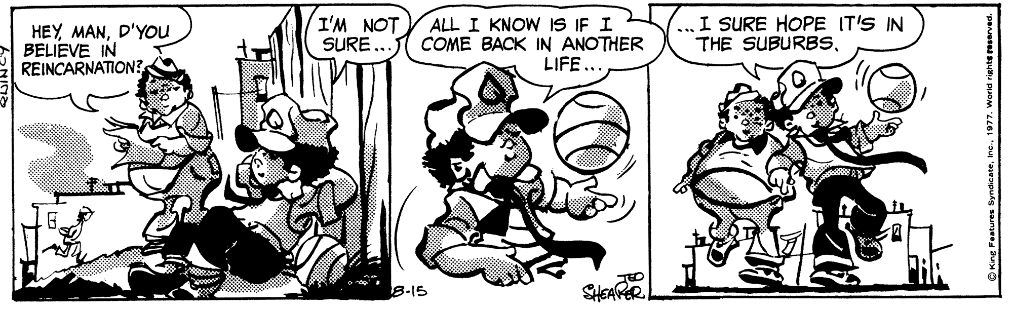 Mammal OCR: I'M NOT HEYD'YOU BELIEVE IN REINCARNATION? ALL I KNOW IS IF I SURE .. COME BACK IN ANOTHER LIFE.. ... I SURE HOPE IT'S IN THE SUBURBS8-15 SHEARER I'M NOT HEYD'YOU BELIEVE IN REINCARNATION? ALL I KNOW IS IF I SURE .. COME BACK IN ANOTHER LIFE.. ... I SURE HOPE IT'S IN THE SUBURBS8-15 SHEARER