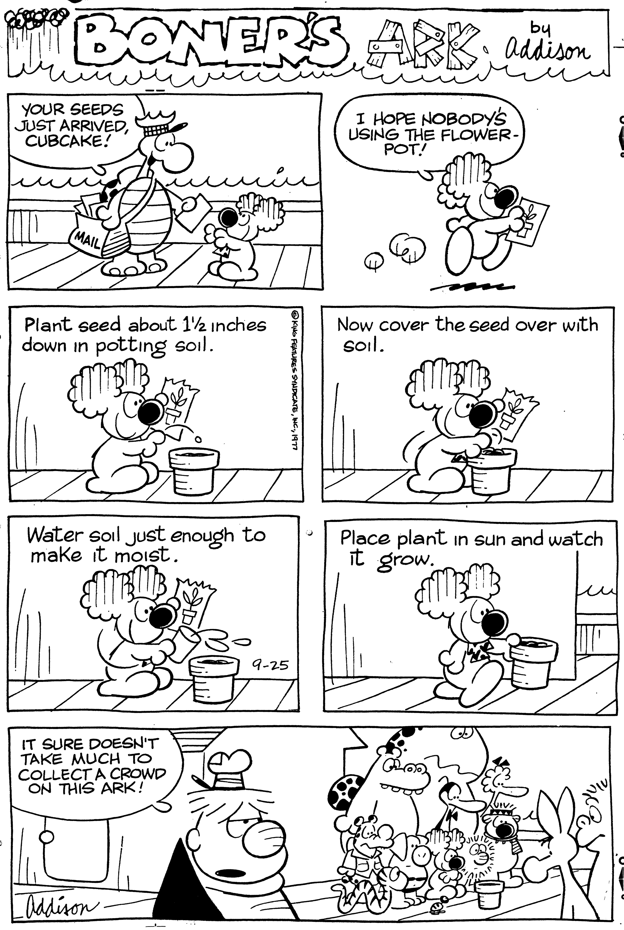 Human OCR: BONERS ARK; addison I HOPE NOBODY'S USING THE FLOWER- POT! YOUR SEEDS JUST ARRIVEDCUBCAKE! MAIL Plant seed about 1/2 inches down in potting soil. Water soll just enough to I make it moist. IT SURE DOESN'T TAKE MUCH TO COLLECT A CROWD ON THIS ARK! Addison- 9-25 Now cover the seed over with soil. Place plant in sun and watch it grow. u BONERS ARK ; addison I HOPE NOBODY'S USING THE FLOWER POT ! YOUR SEEDS JUST ARRIVEDCUBCAKE ! MAIL Plant seed about 1/2 inches down in potting soil . Water soll just enough to I make it moist . IT SURE DOESN'T TAKE MUCH TO COLLECT A CROWD ON THIS ARK ! Addison 9-25 Now cover the seed over with soil . Place plant in sun and watch it grow . u