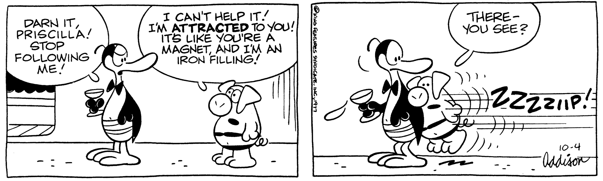 Rectangle OCR: DARN ITPRISCILLA! STOP FOLLOWING ME! I CAN'T HELP IT! I'M ATTRACTED TO YOU! IT'S LIKE YOU'RE A MAGNETAND I'M AN IRON FILLING! KING FEATURES SYNDICATE1977 THERE- YOU SEE? #ZZZZIIP!: 10-4 -Addison DARN ITPRISCILLA ! STOP FOLLOWING ME ! I CAN'T HELP IT ! I'M ATTRACTED TO YOU ! IT'S LIKE YOU'RE A MAGNETAND I'M AN IRON FILLING ! KING FEATURES SYNDICATEINC .1977 THERE YOU SEE ? #ZZZZIIP !: 10-4 -Addison
