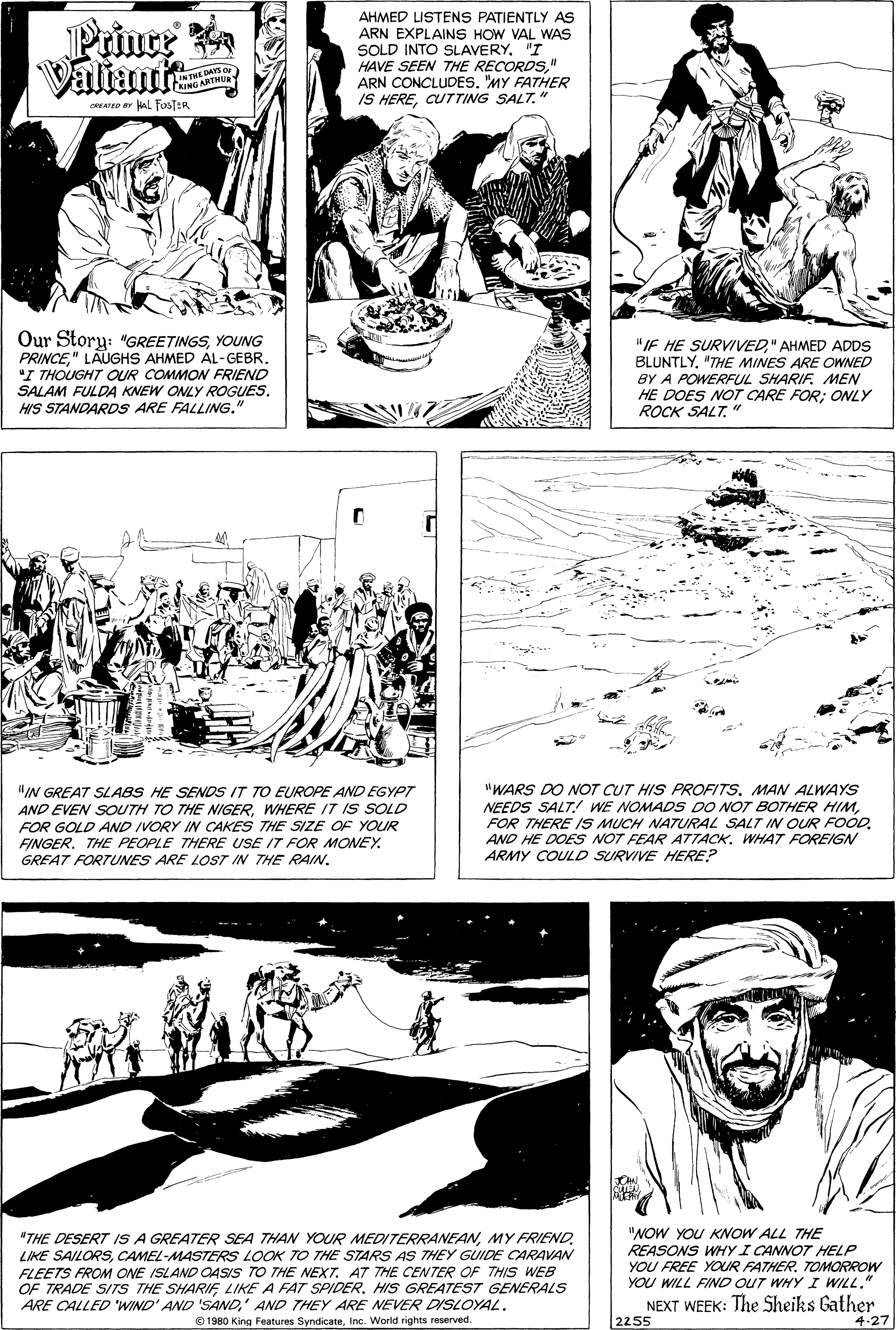 Style OCR: Prince Valiant AHMED LISTENS PATIENTLY AS ARN EXPLAINS HOW VAL WAS SOLD INTO SLAVERY"I HAVE SEEN THE RECORDS" ARN CONCLUDES. "MY FATHER IS HERECUTTING SALT." DAYS OF INTHEMTH arro ar HaL FosT:R Our Story: "GREETINGSYOUNG PRINCE" LAUGHS AHMED AL-GEBR. "I THOUGHT OUR COMMON FRIEND SALAM FULDA KNEW ONLY ROGUES. HIS STANDARDS ARE FALLING." "IF HE SURVIVED" AHMED ADDS BLUNTLY"THE MINES ARE OWNED BY A POWERFUL SHARIF. MEN HE DOES NOT CARE FOR; ONLY ROCK SALT. " "IN GREAT SLABS HE SENDS IT TO EUROPE AND EGYPT AND EVEN SOUTH TO THE NIGERWHERE IT IS SOLD FOR GOLD AND IVORY IN CAKES THE SIZE OF YOUR FINGERTHE PEOPLE THERE USE IT FOR MONEY. GREAT FORTUNES ARE LOST IN THE RAIN. "WARS DO NOT CUT HIS PROFITSMAN ALWAYS NEEDS SALT! WE NOMADS DO NOT BOTHER HIMFOR THERE IS MUCH NATURAL SALT IN OUR FOOD. AND HE DOES NOT FEAR AT7TACK. WHAT FOREIGN ARMY COULD SURVIVE HERE? "THE DESERT IS A GREATER SEA THAN YOUR MEDITERRANEANCAMEL-MASTERS LOOK TO THE STARS AS THEY GUIDE CARAVAN FLEETS FROM ONE ISLAND OASIS TO THE NEXT. A7 THE CENTER OF THIS WEB OF TRADE SITS THE SHARIF LIKE A FAT SPIDER. HIS GREATEST GENERALS ARE CALLED 'WIND' AND 'SAND' AND THEy ARE NEVER DISLOYAL. "NOW YOU KOW ALL THE REASONS WHY I CANNOT HELP YOU FREE YOUR FATHERTOMORROW YOU WILL FIND OUT WHY I WILL." NEXT WEEK: The Sheiks Gather 2255 O 1980 King Features SyndicateInc. World rights reserved. 4-27 Prince Valiant AHMED LISTENS PATIENTLY AS ARN EXPLAINS HOW VAL WAS SOLD INTO SLAVERY"I HAVE SEEN THE RECORDS" ARN CONCLUDES. "MY FATHER IS HERECUTTING SALT." DAYS OF INTHEMTH arro ar HaL FosT:R Our Story: "GREETINGSYOUNG PRINCE" LAUGHS AHMED AL-GEBR. "I THOUGHT OUR COMMON FRIEND SALAM FULDA KNEW ONLY ROGUES. HIS STANDARDS ARE FALLING." "IF HE SURVIVED" AHMED ADDS BLUNTLY"THE MINES ARE OWNED BY A POWERFUL SHARIF. MEN HE DOES NOT CARE FOR; ONLY ROCK SALT. " "IN GREAT SLABS HE SENDS IT TO EUROPE AND EGYPT AND EVEN SOUTH TO THE NIGERWHERE IT IS SOLD FOR GOLD AND IVORY IN CAKES THE SIZE OF YOUR FINGERTHE PEOPLE THERE USE IT FOR MONEY. GREAT FORTUNES ARE LOST IN THE RAIN. "WARS DO NOT CUT HIS PROFITSMAN ALWAYS NEEDS SALT! WE NOMADS DO NOT BOTHER HIMFOR THERE IS MUCH NATURAL SALT IN OUR FOOD. AND HE DOES NOT FEAR AT7TACK. WHAT FOREIGN ARMY COULD SURVIVE HERE? "THE DESERT IS A GREATER SEA THAN YOUR MEDITERRANEANMY FRIENDLIKE SAILORSCAMEL-MASTERS LOOK TO THE STARS AS THEY GUIDE CARAVAN FLEETS FROM ONE ISLAND OASIS TO THE NEXT. A7 THE CENTER OF THIS WEB OF TRADE SITS THE SHARIF LIKE A FAT SPIDER. HIS GREATEST GENERALS ARE CALLED 'WIND' AND 'SAND' AND THEy ARE NEVER DISLOYAL. "NOW YOU KOW ALL THE REASONS WHY I CANNOT HELP YOU FREE YOUR FATHERTOMORROW YOU WILL FIND OUT WHY I WILL." NEXT WEEK: The Sheiks Gather 2255 O 1980 King Features SyndicateInc. World rights reserved. 4-27